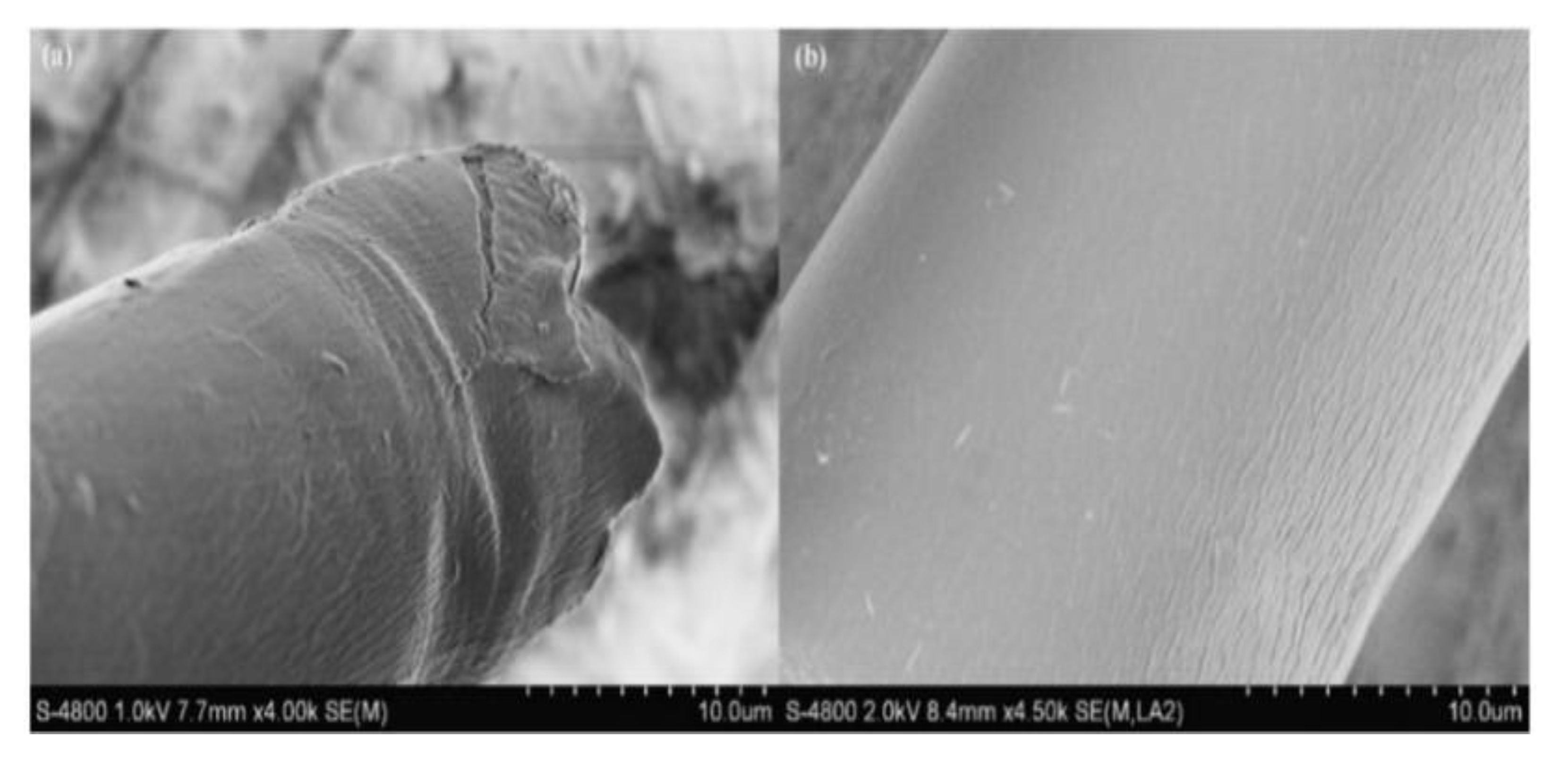 Ijerph 19 02703 g010