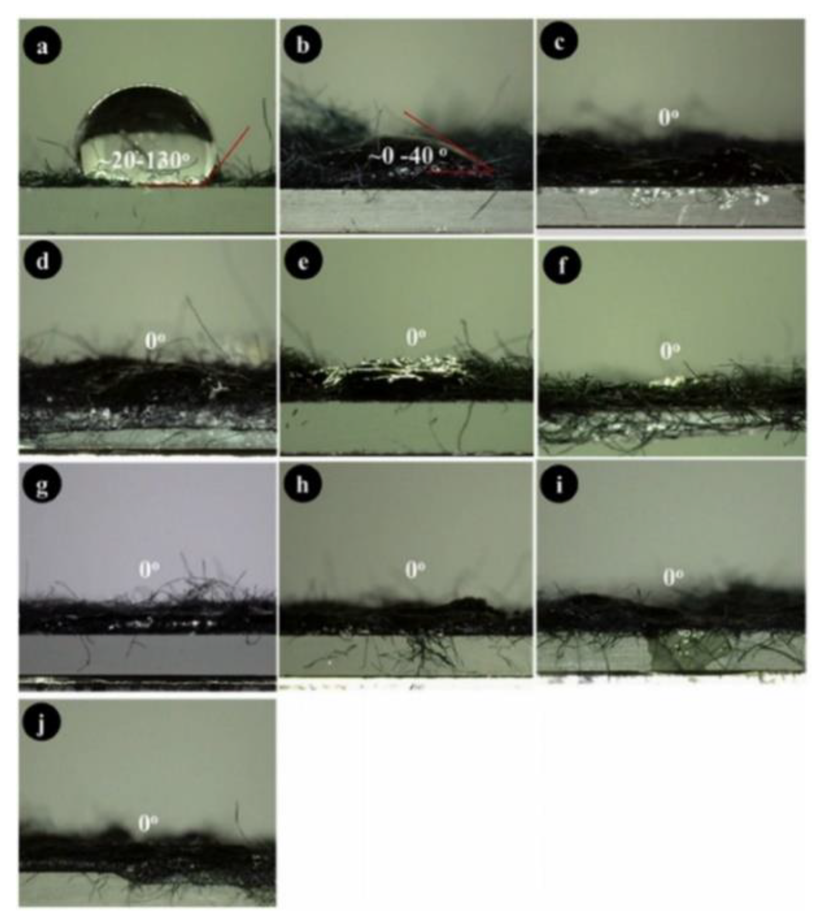 Ijerph 19 02703 g012