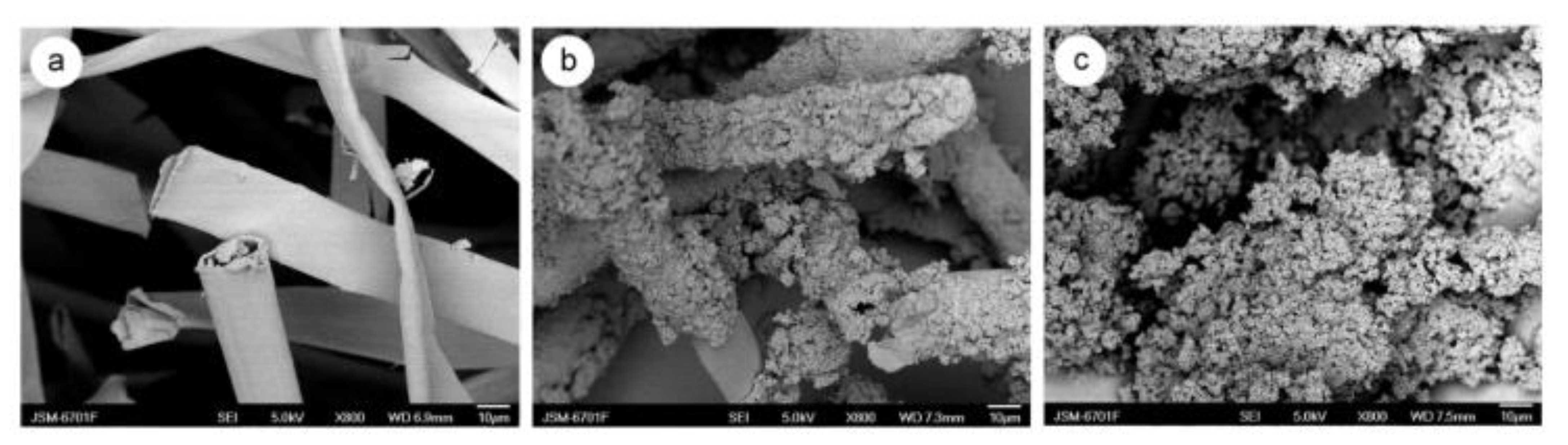 Ijerph 19 02703 g013