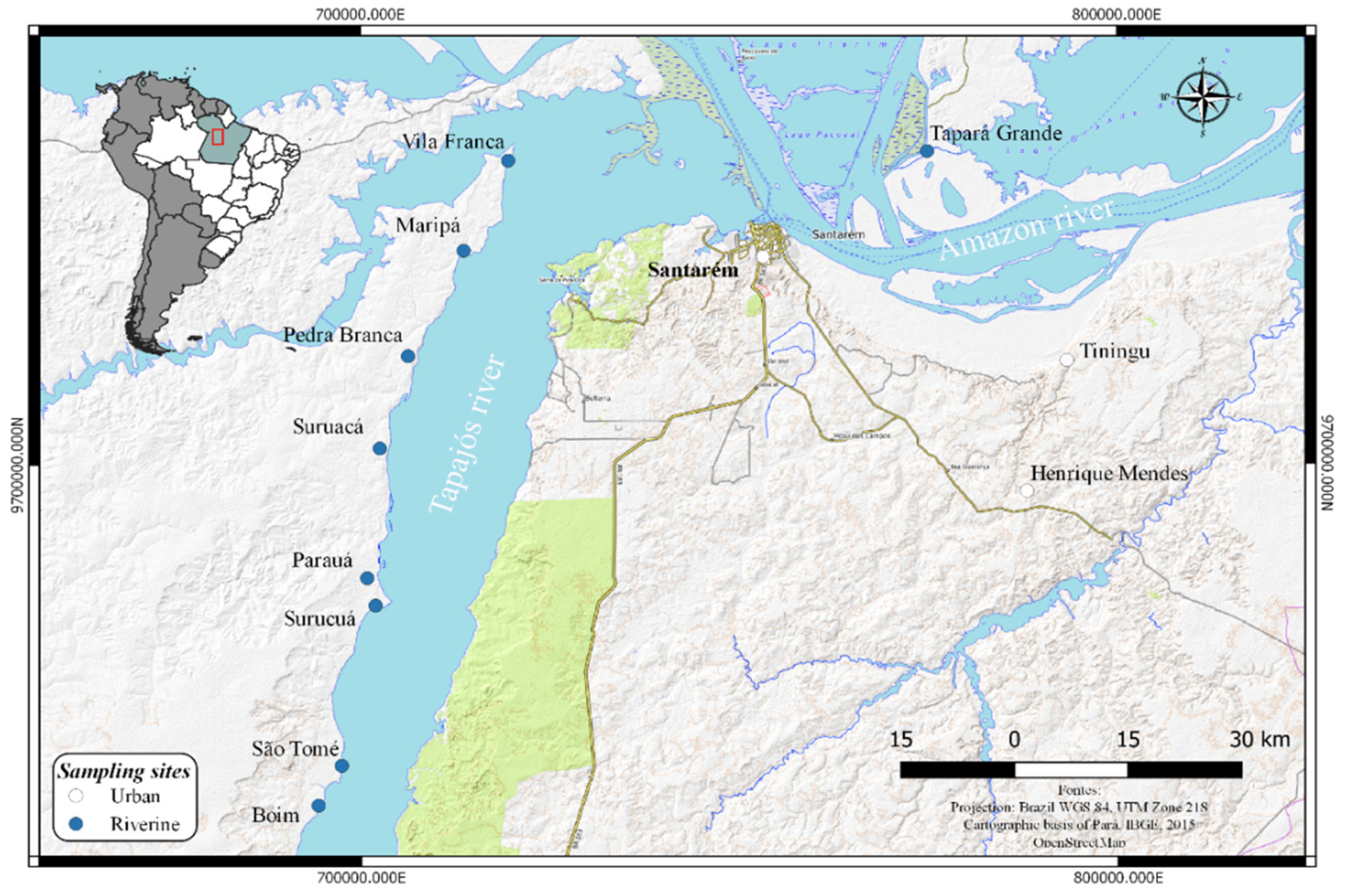 Ijerph 19 02816 g001