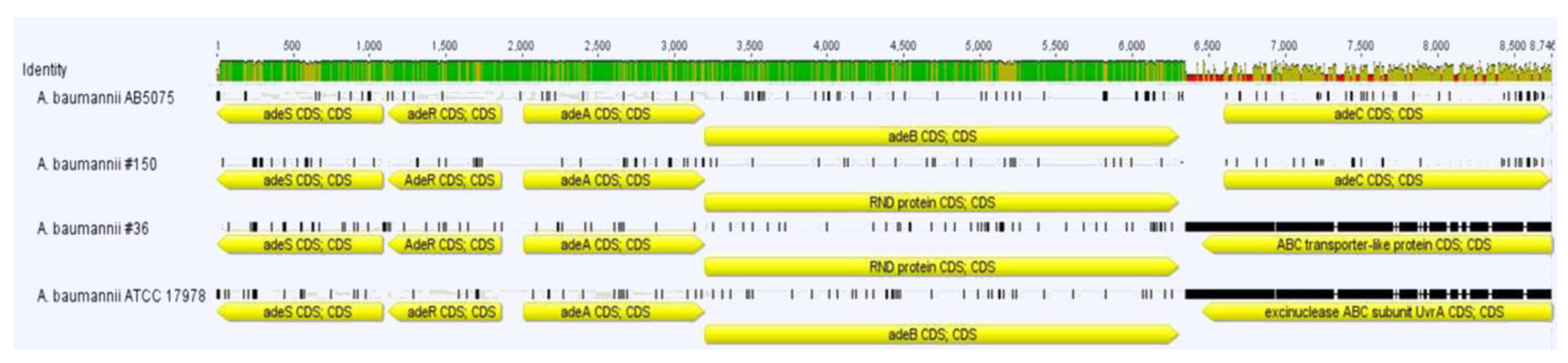 Ijerph 19 02870 g003 Ijerph 19 02870 g003