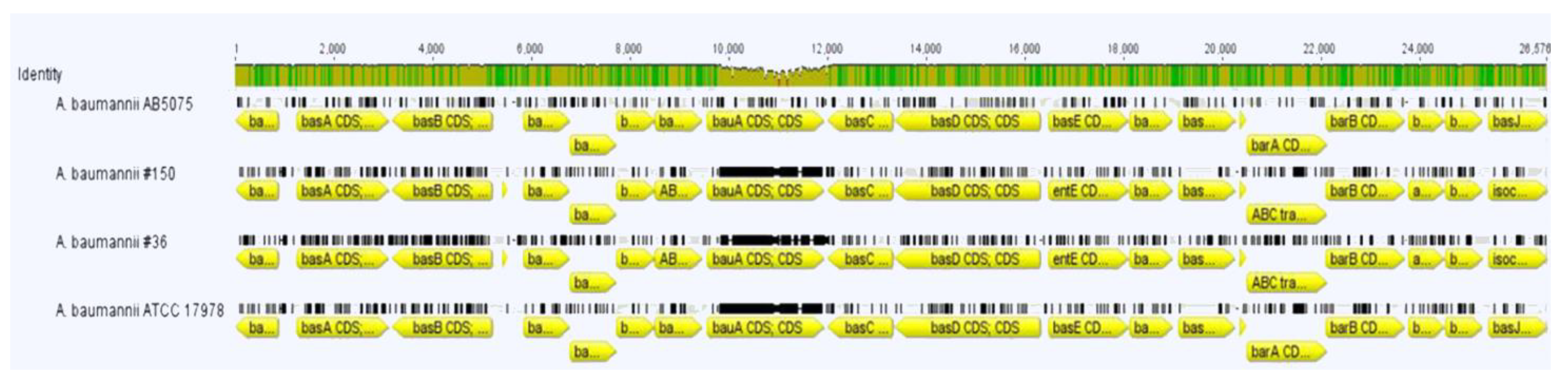 Ijerph 19 02870 g004 Ijerph 19 02870 g004