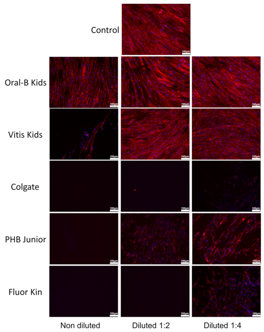Ijerph 19 02954 g003