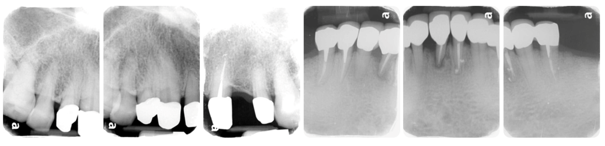 Ijerph 19 03021 g007