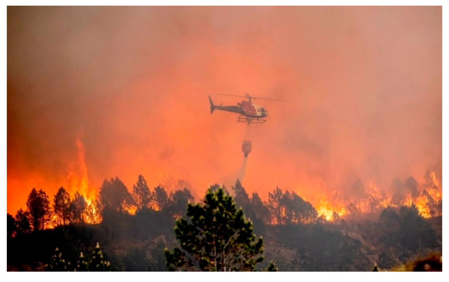 Ijerph 19 03038 g007