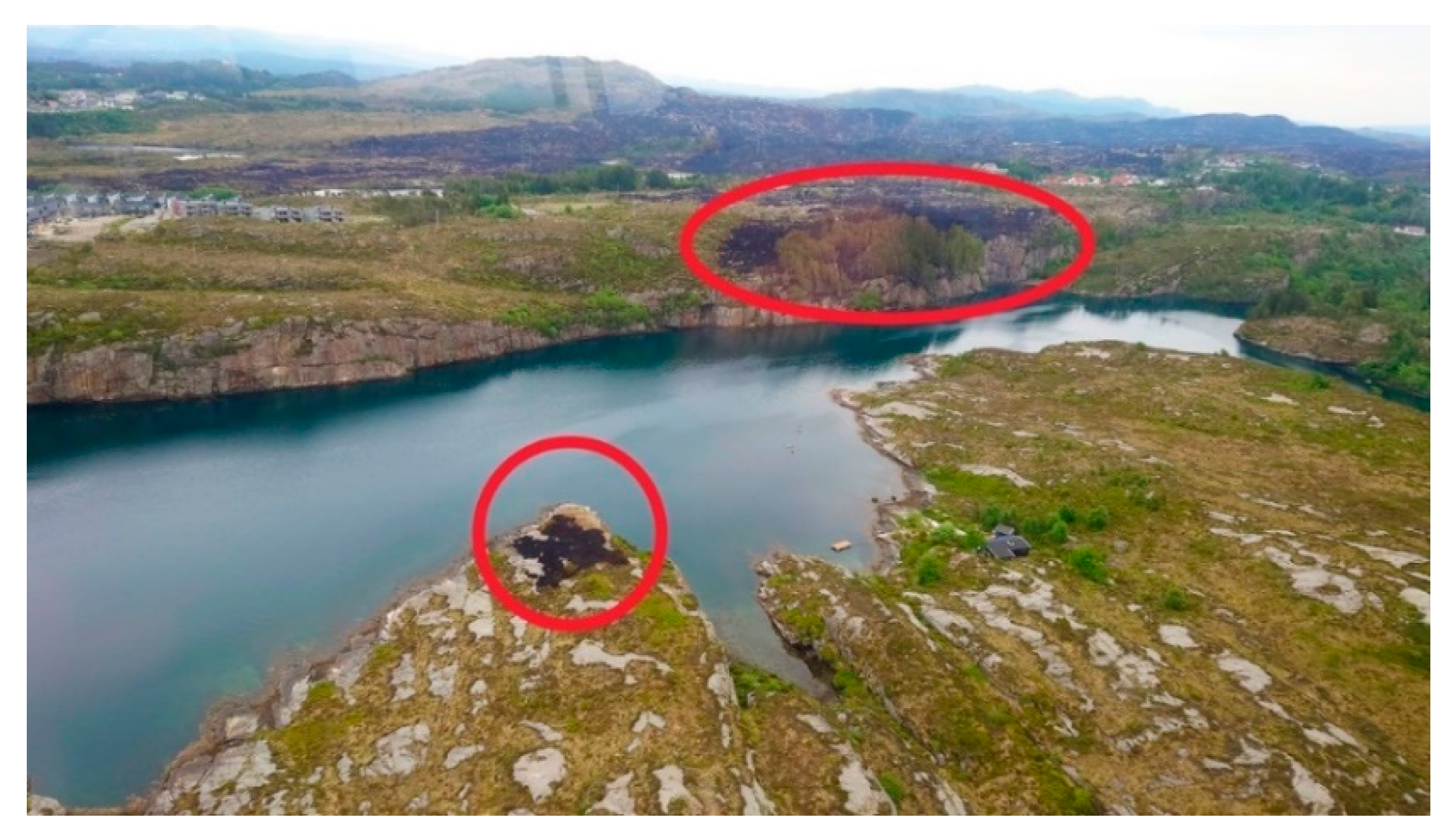 Ijerph 19 03038 g010