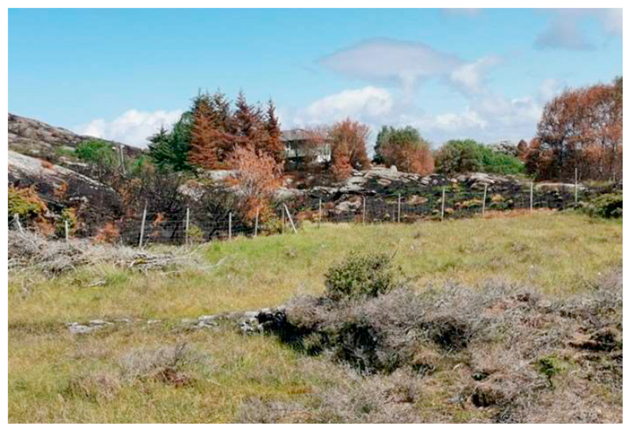 Ijerph 19 03038 g011