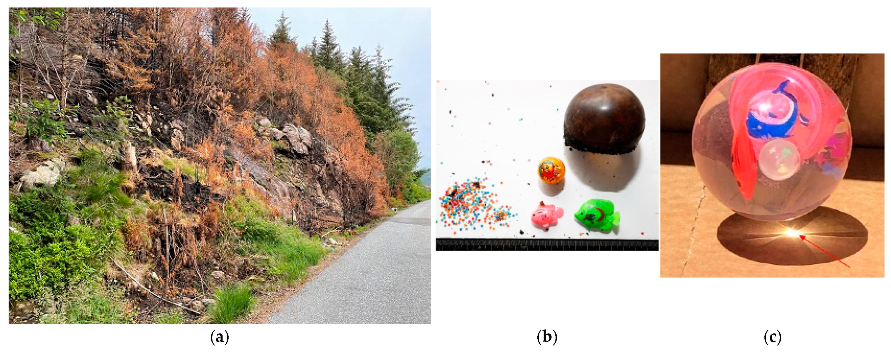 Ijerph 19 03038 g012