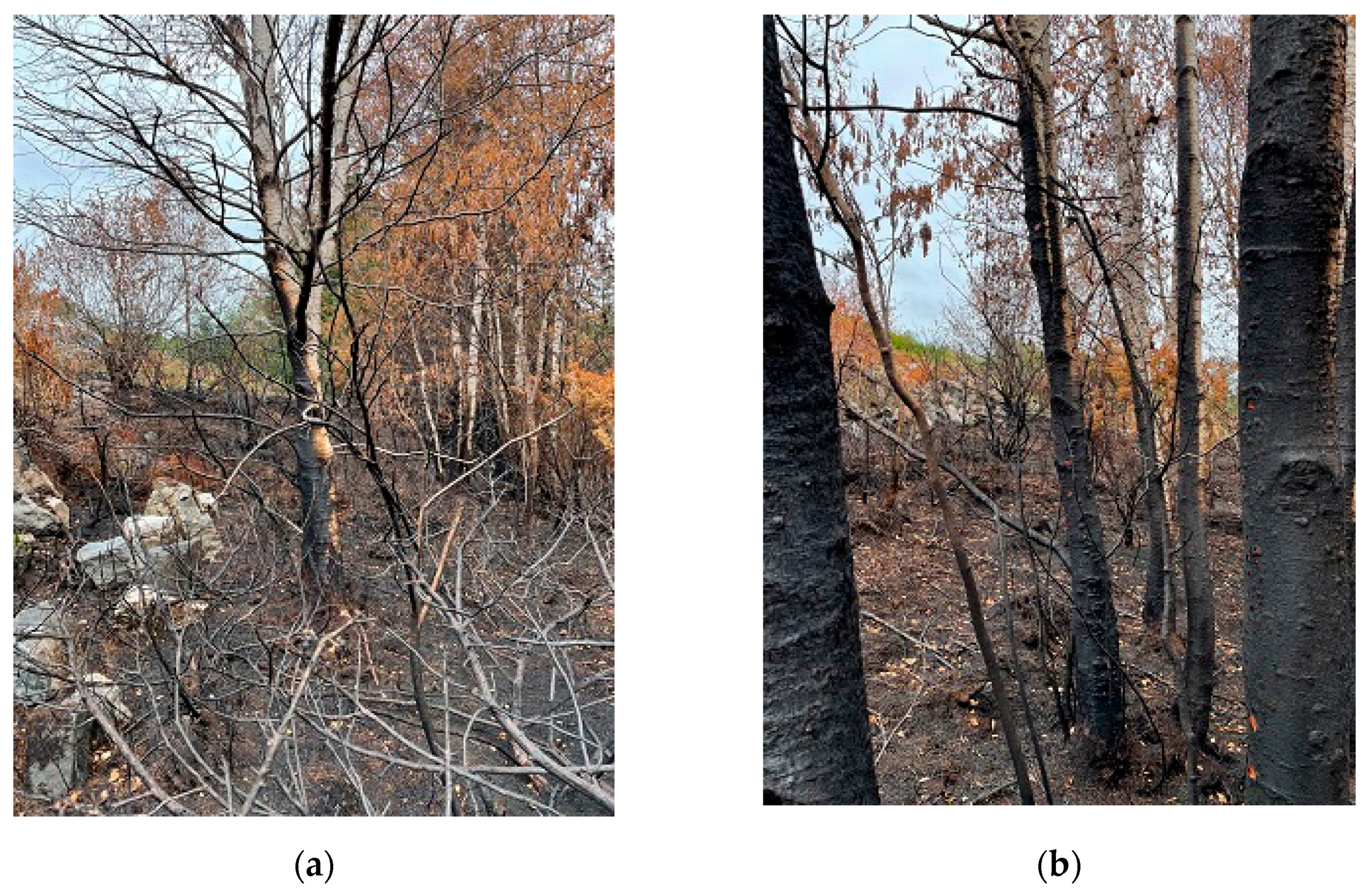 Ijerph 19 03038 g013