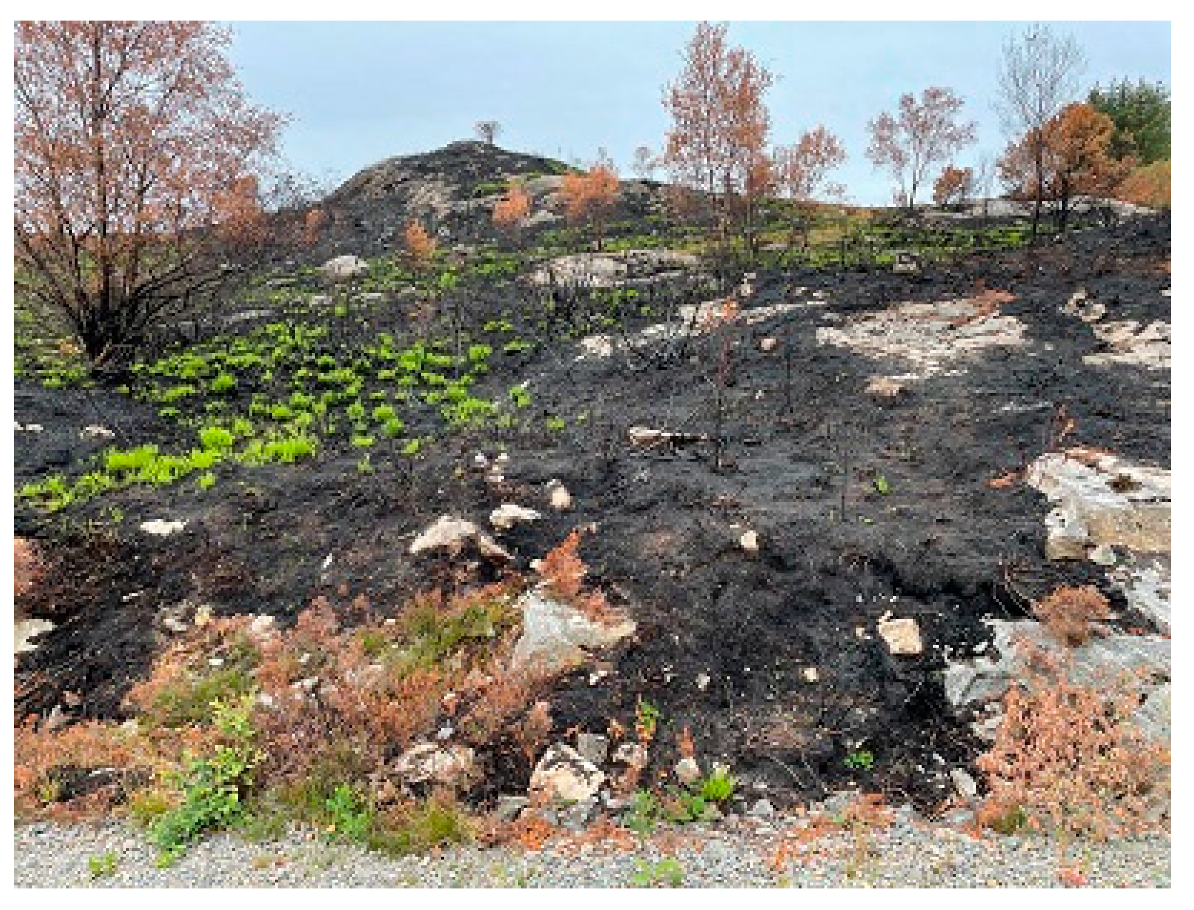 Ijerph 19 03038 g014