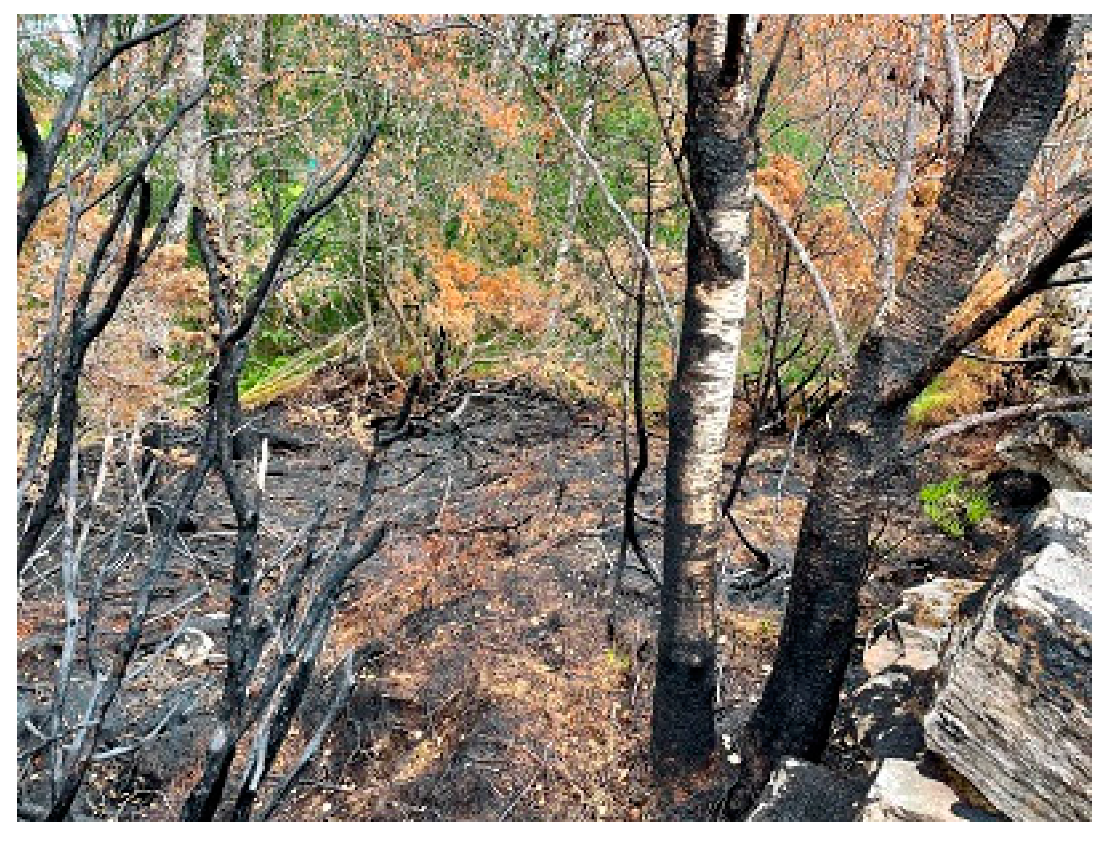 Ijerph 19 03038 g015