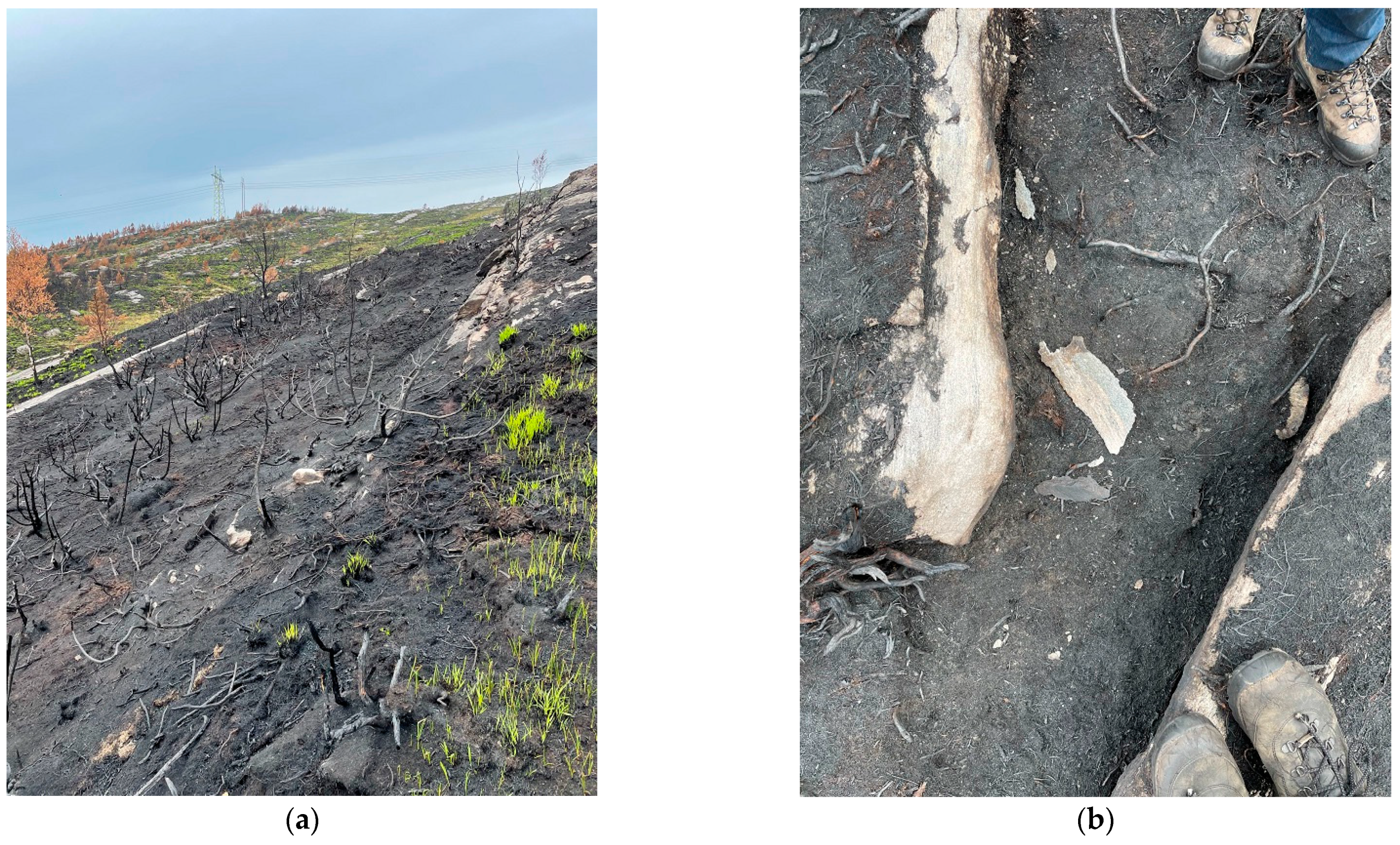 Ijerph 19 03038 g016