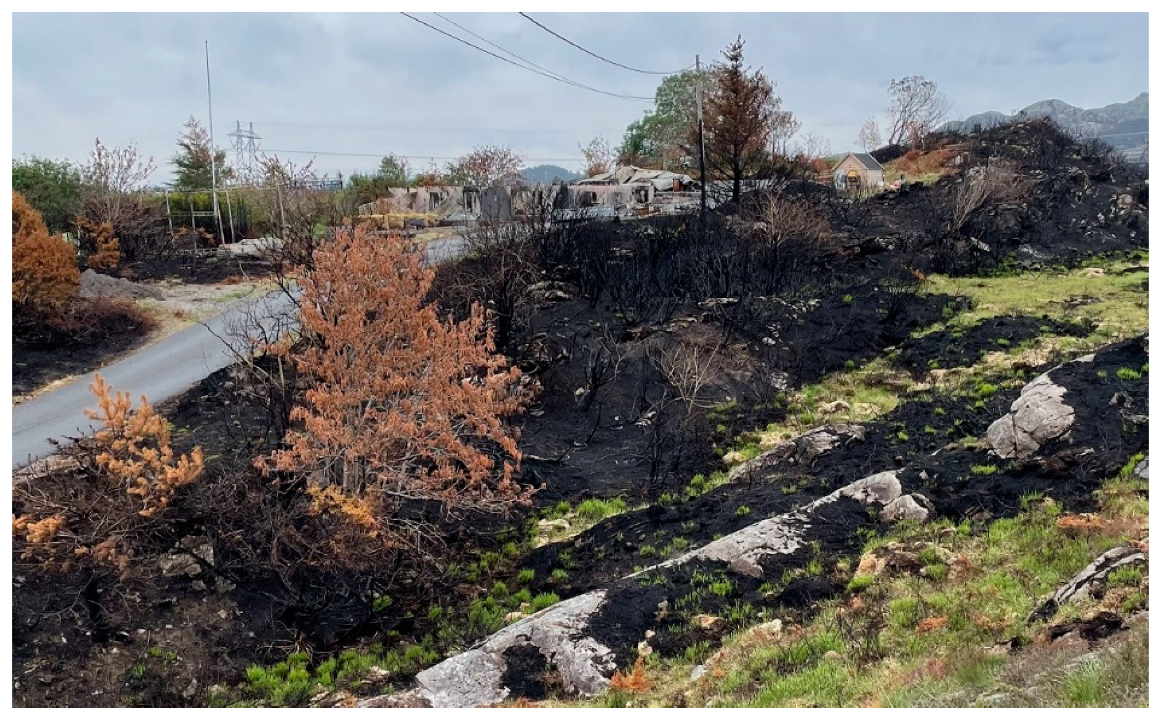 Ijerph 19 03038 g017