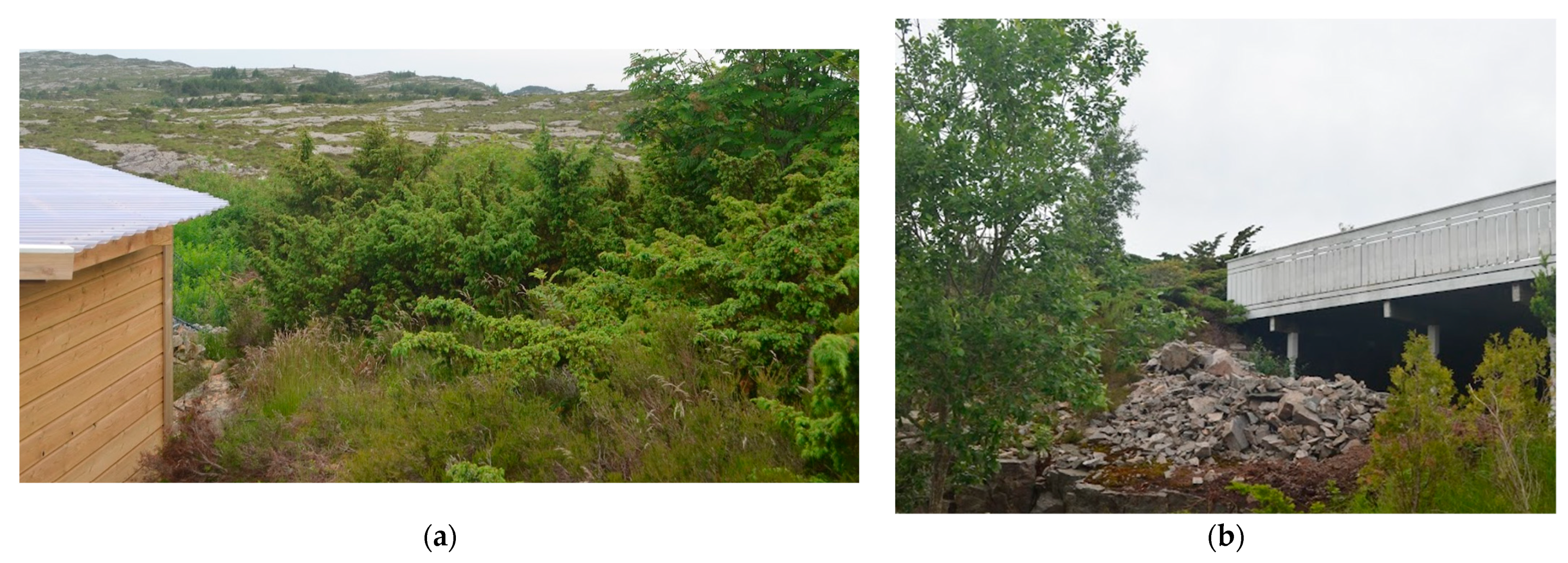 Ijerph 19 03038 g018