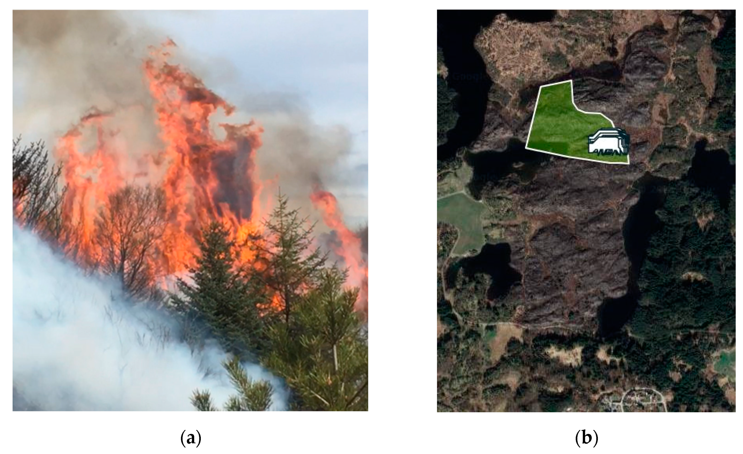 Ijerph 19 03038 g019