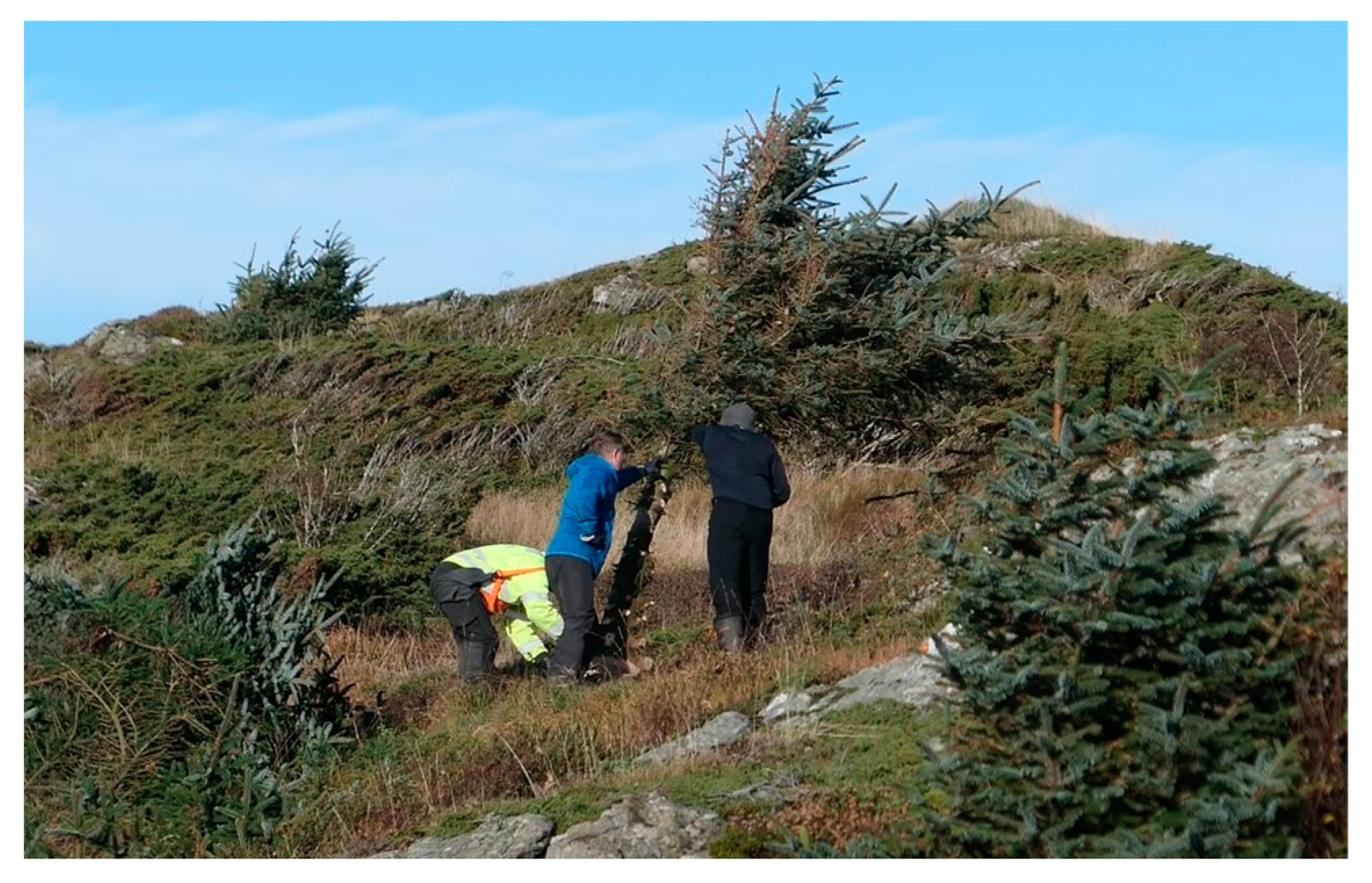 Ijerph 19 03038 g020