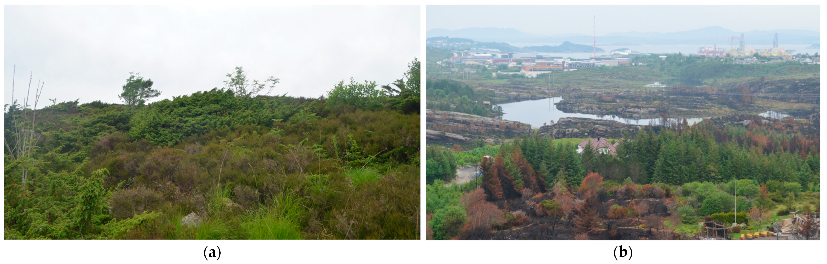 Ijerph 19 03038 g0a3