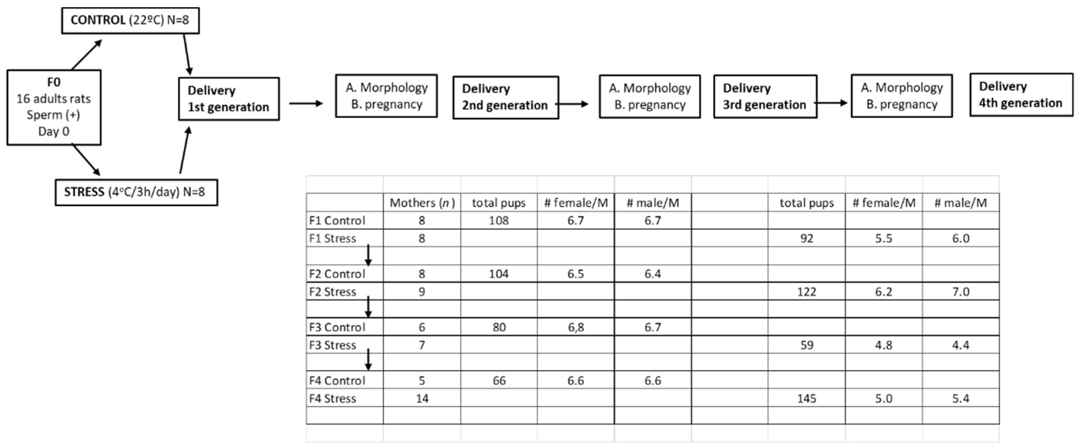 Ijerph 19 03044 g001