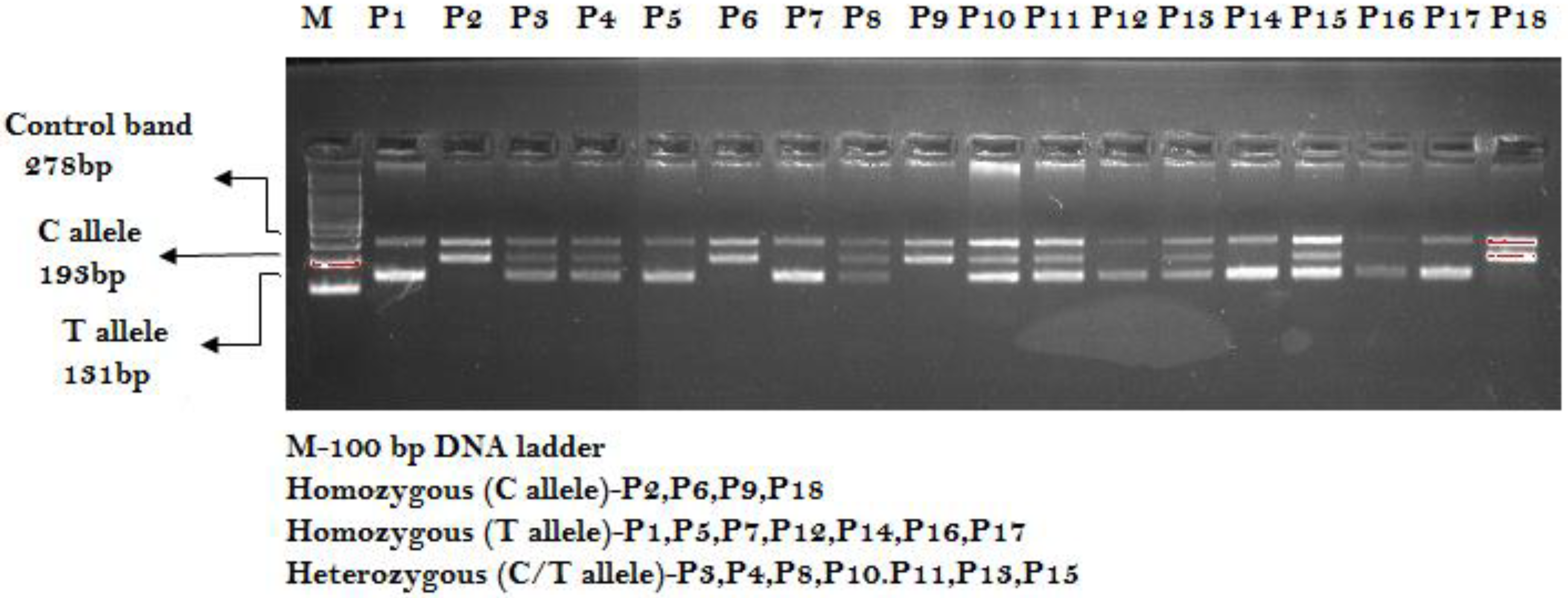 Ijerph 19 03114 g001
