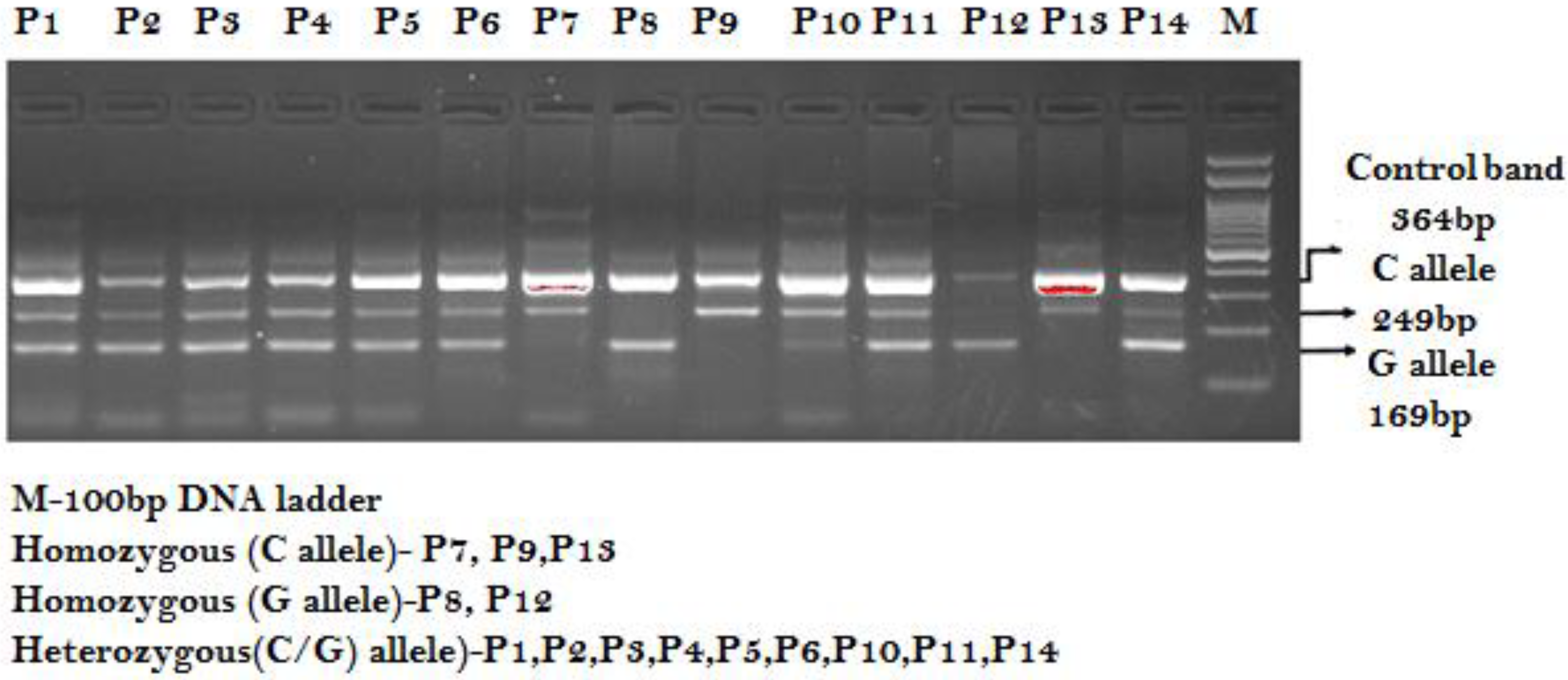 Ijerph 19 03114 g002