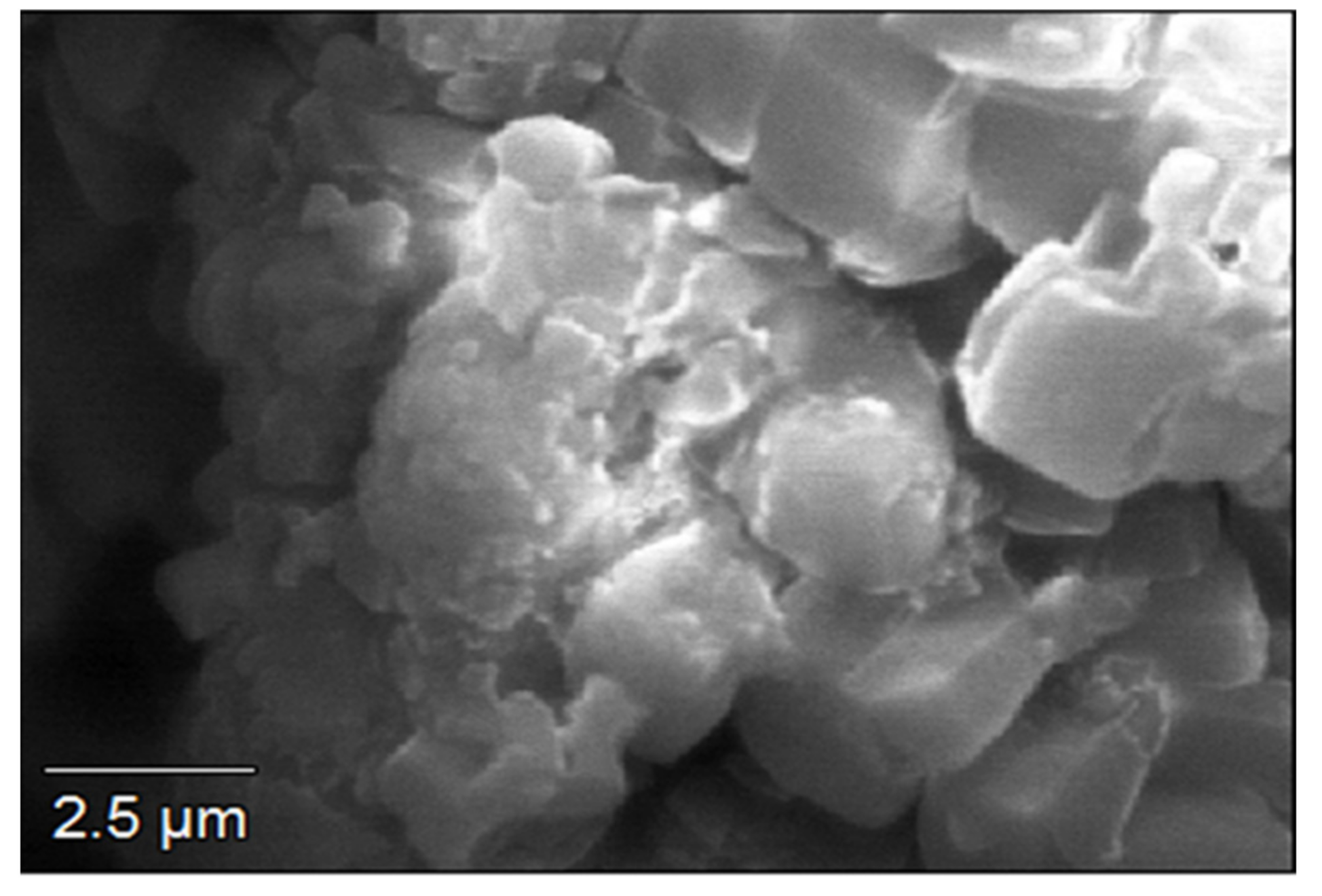 Ijerph 19 03148 g001