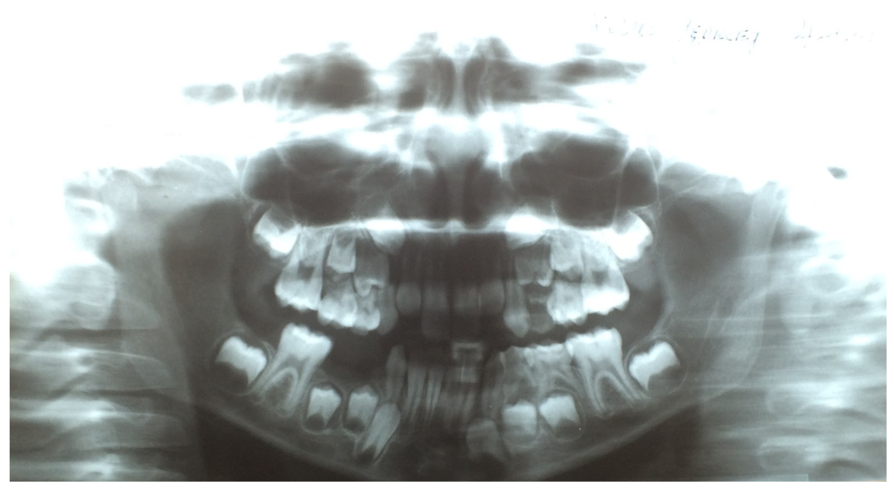 Ijerph 19 03301 g001