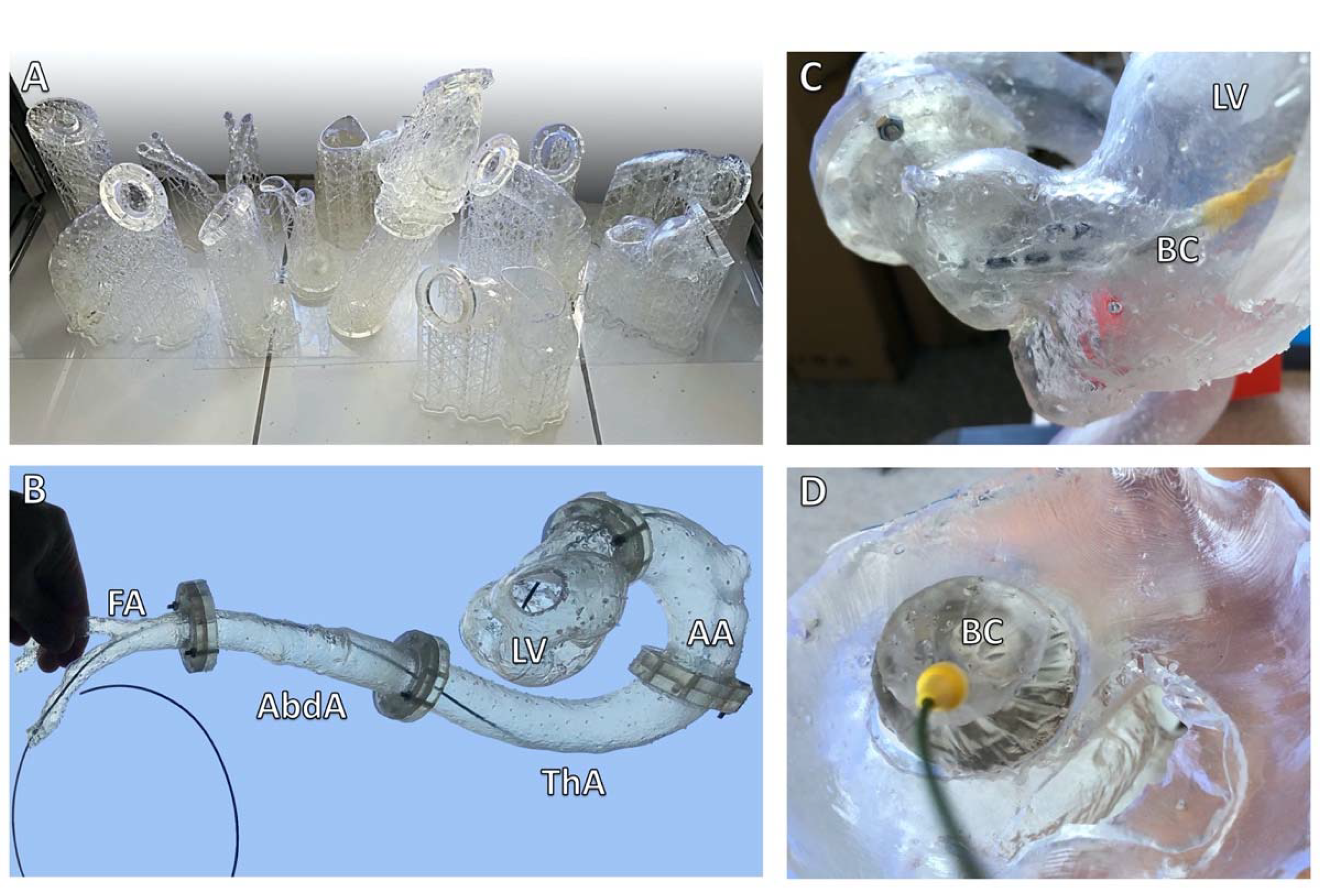 Ijerph 19 03331 g007