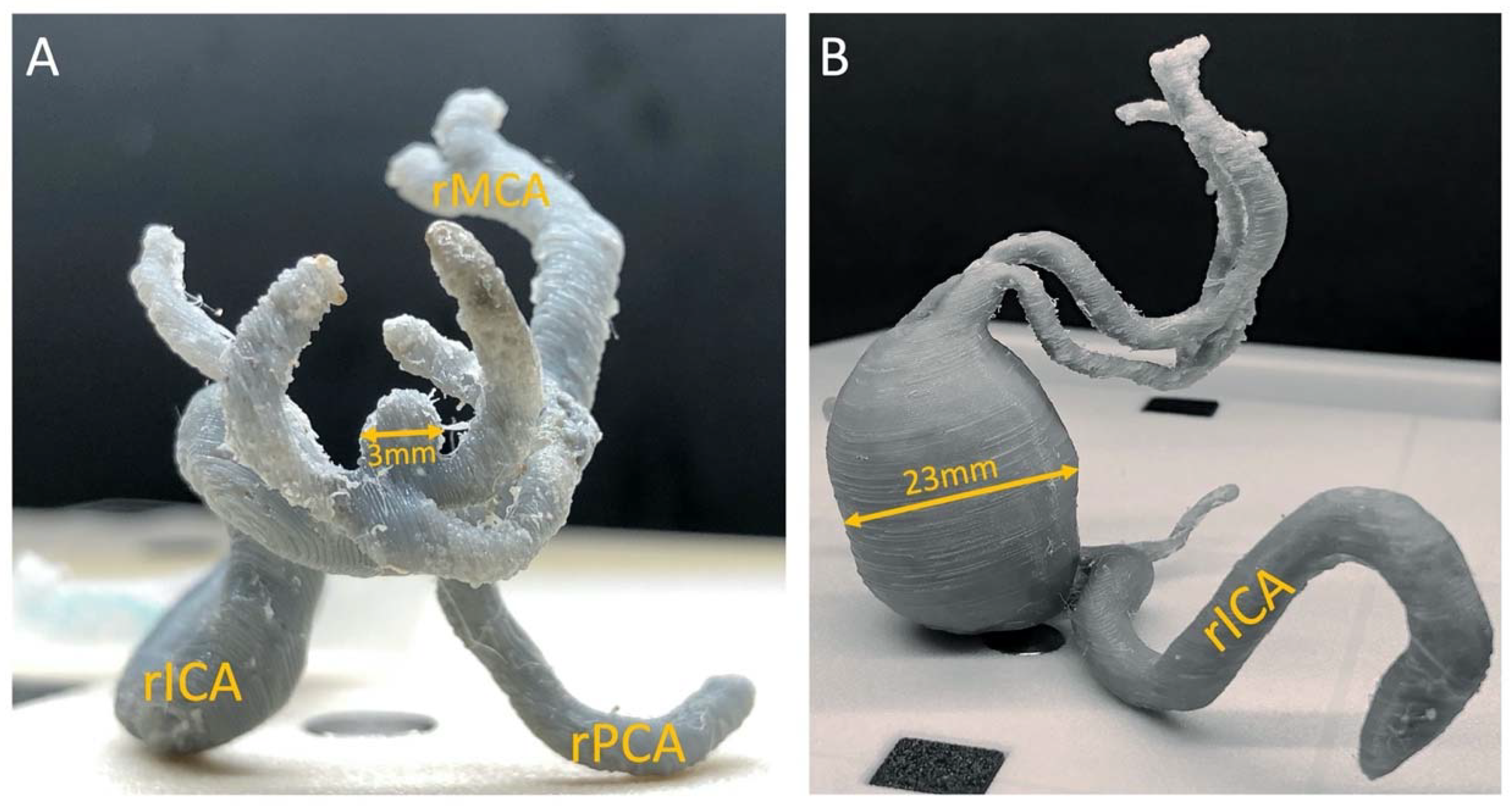 Ijerph 19 03331 g009