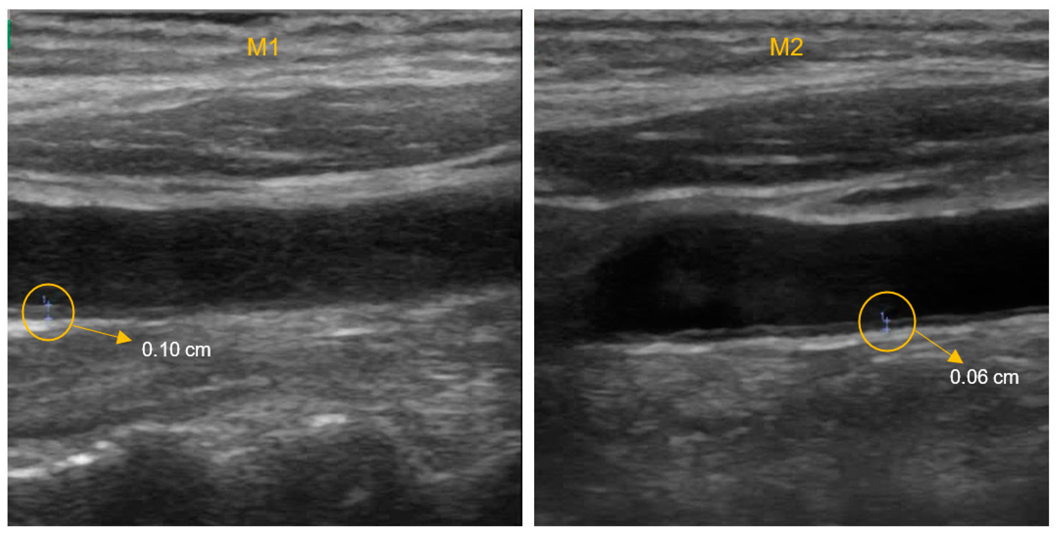 Ijerph 19 03377 g004