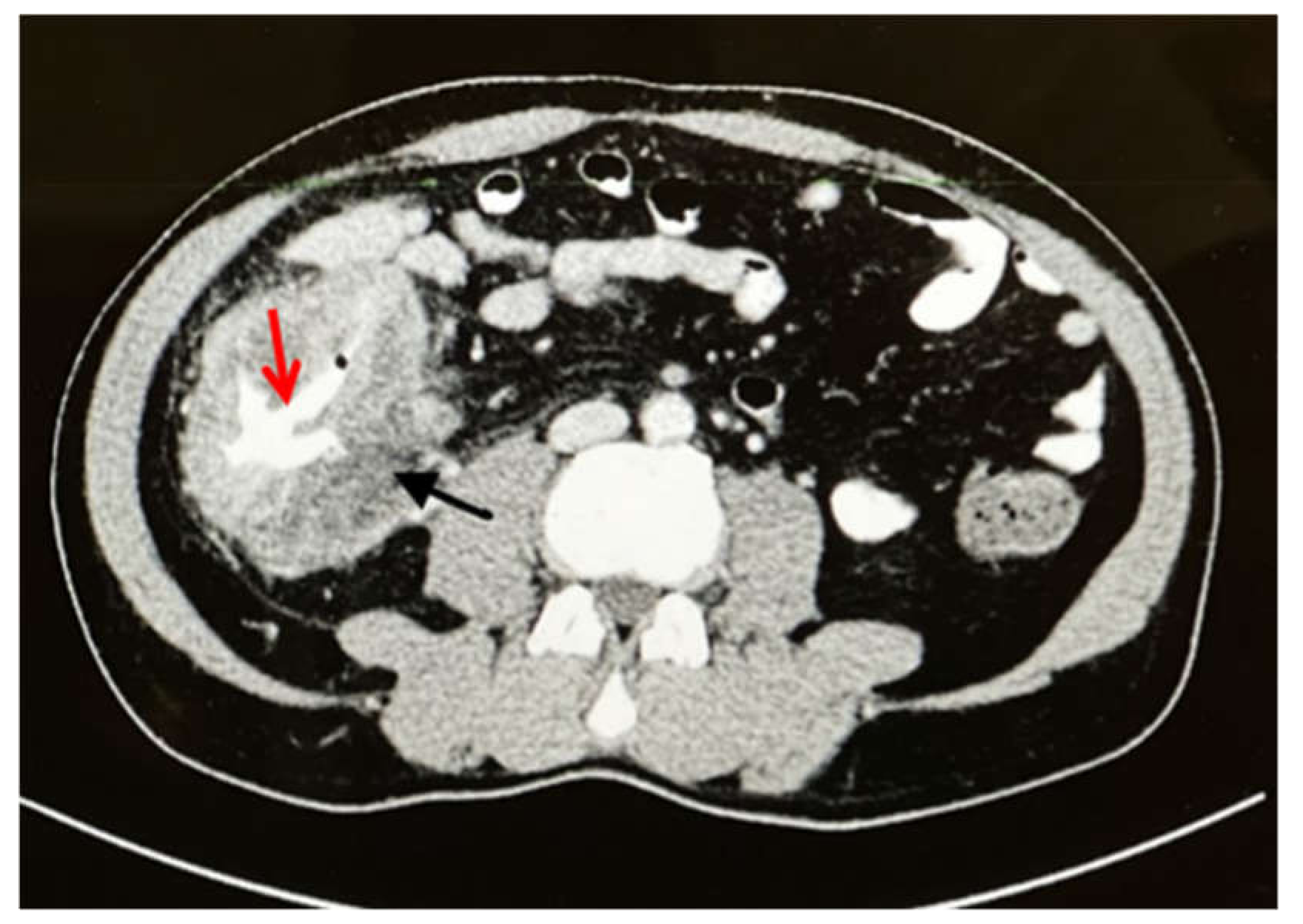 Ijerph 19 03412 g001