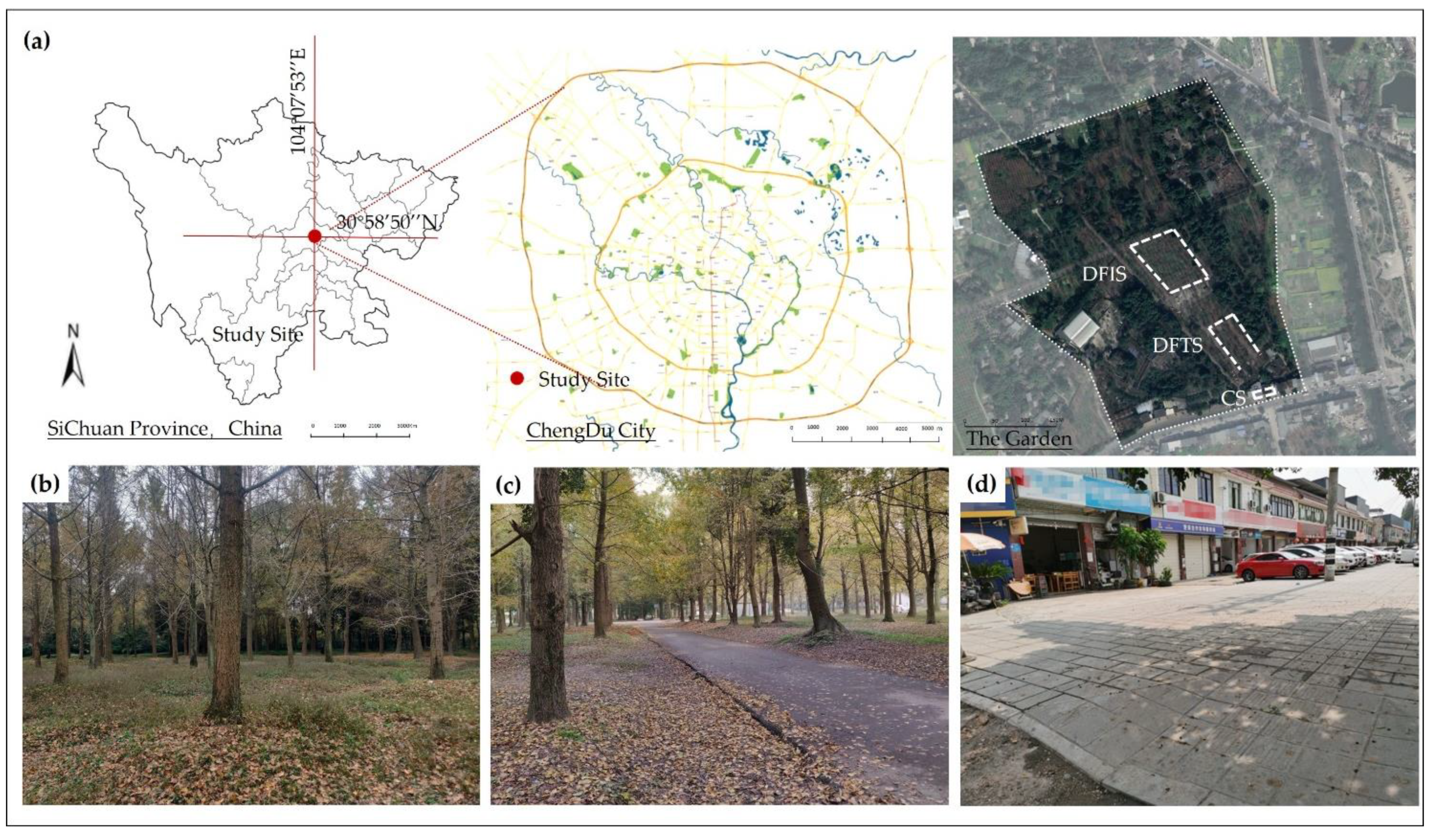 Ijerph 19 03453 g001