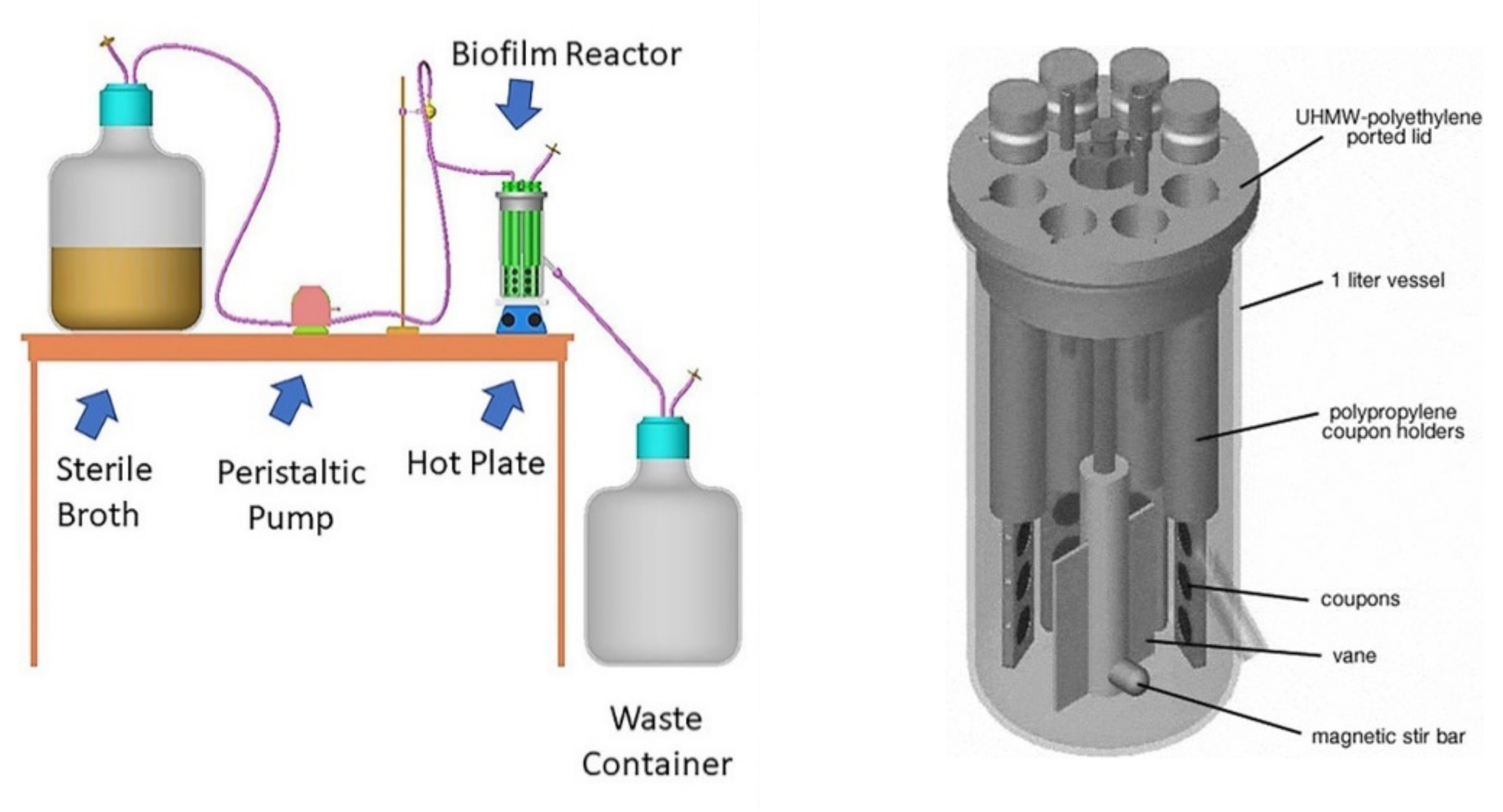 Ijerph 19 03741 sch001