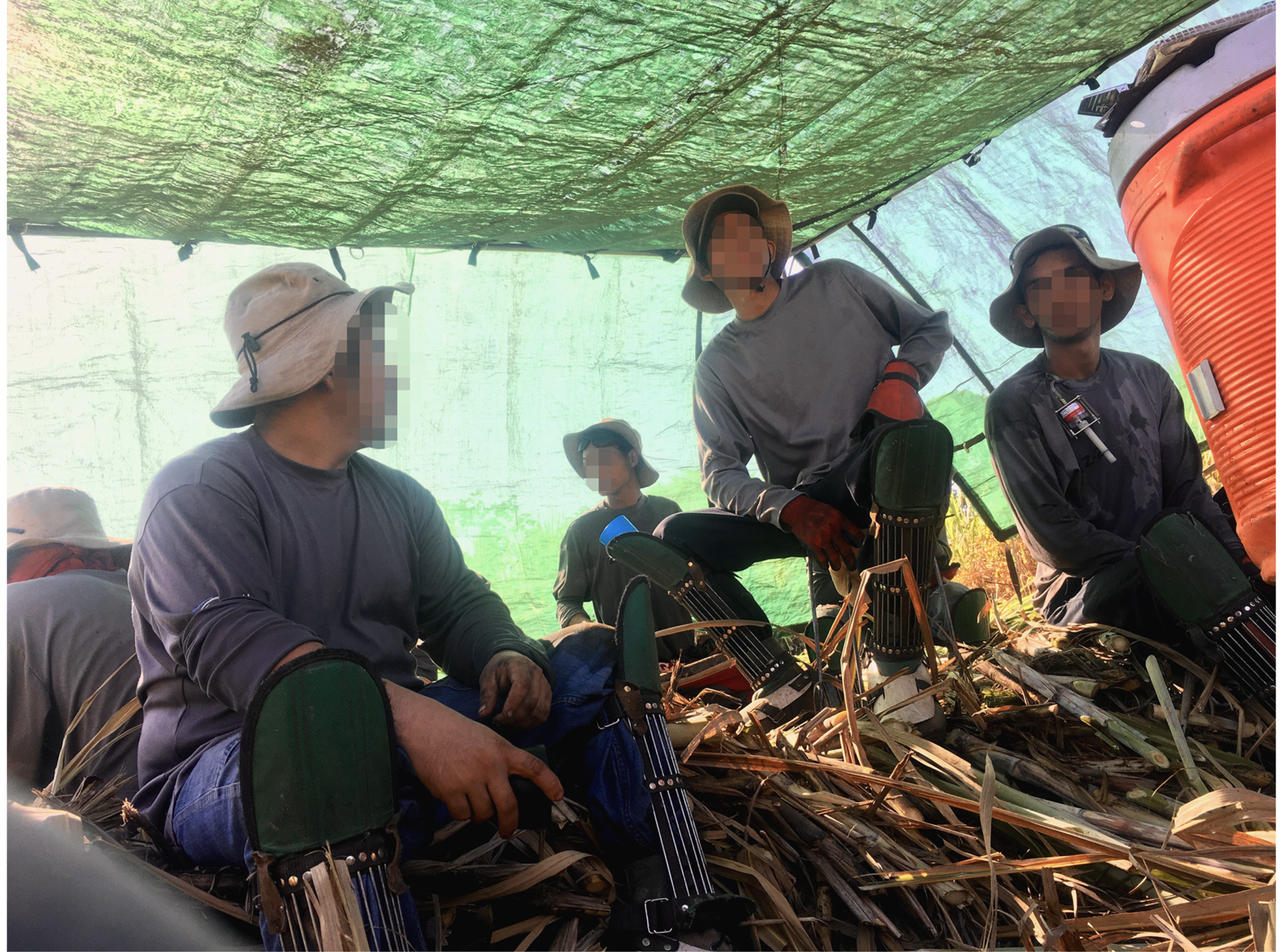 Ijerph 19 03779 g005