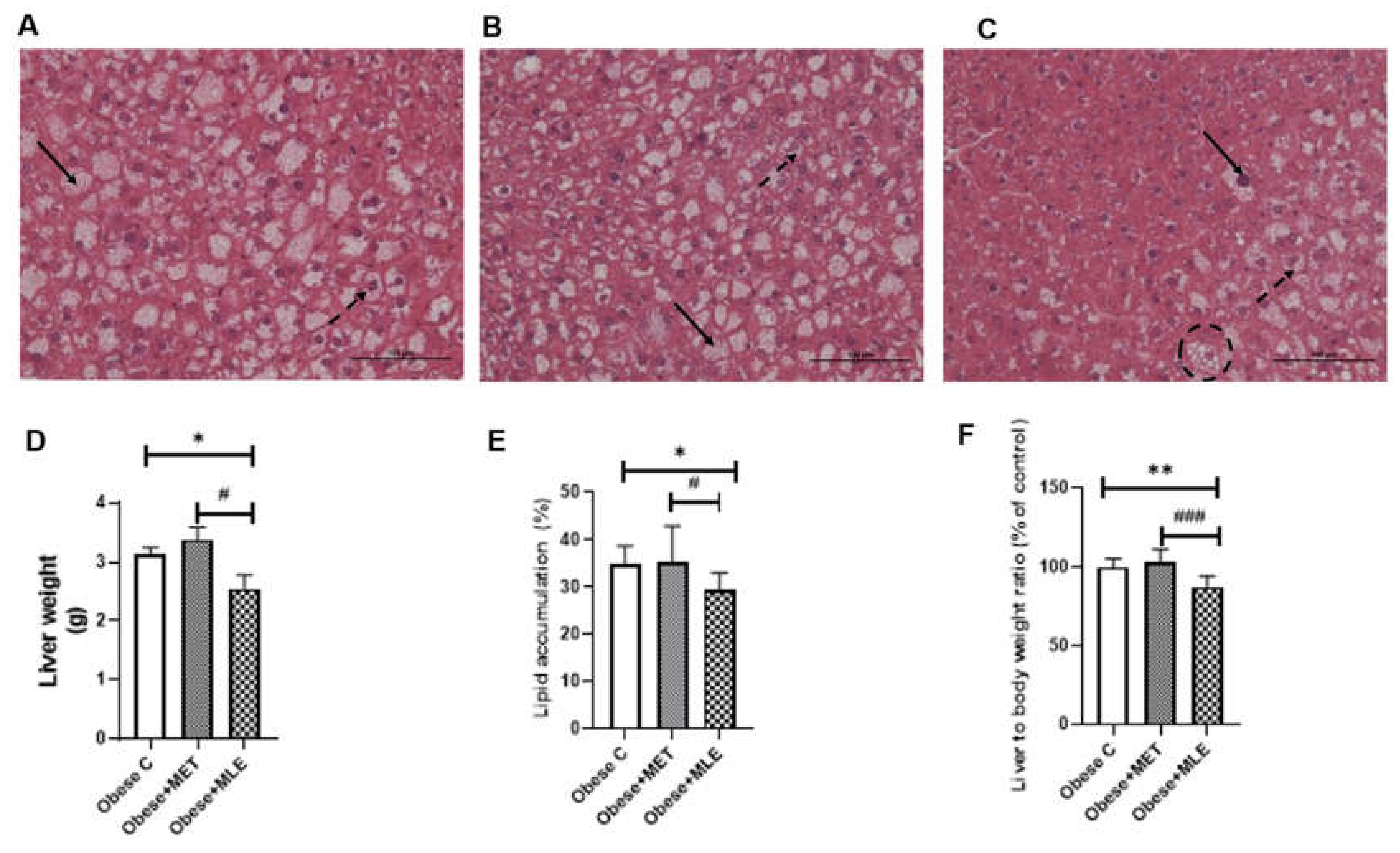 Ijerph 19 03782 g002