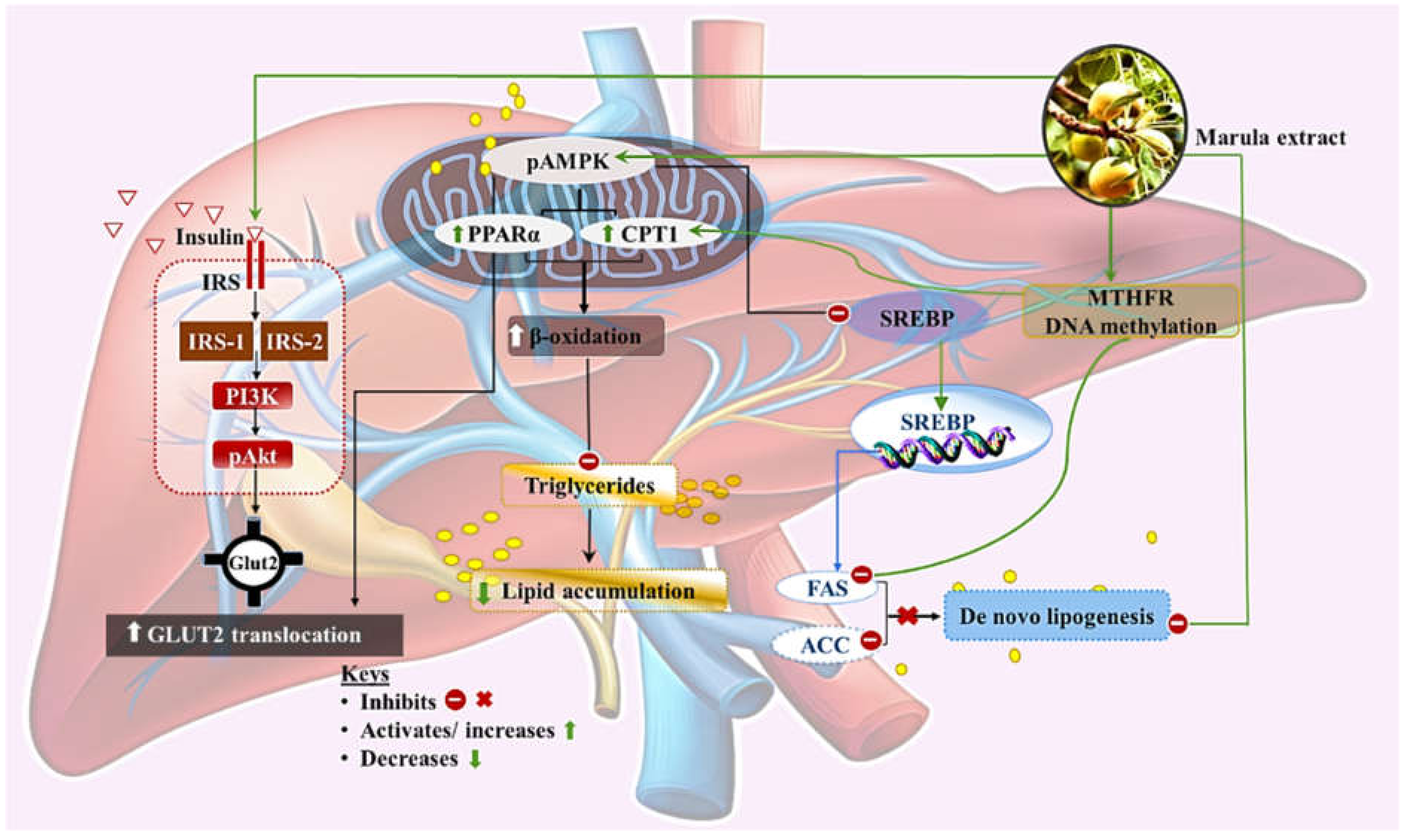 Ijerph 19 03782 g007