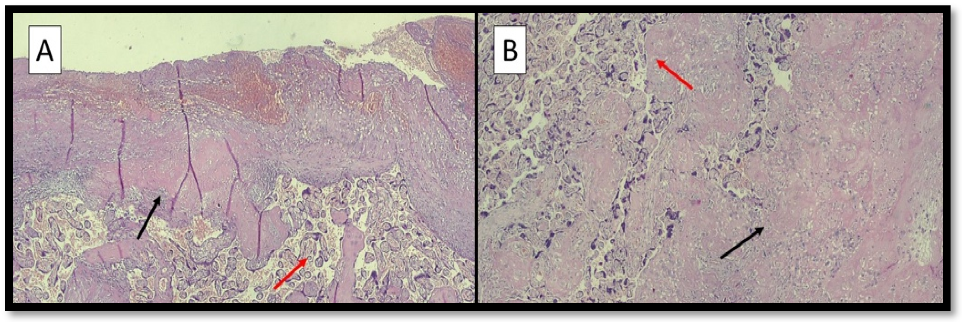 Ijerph 19 03891 g001