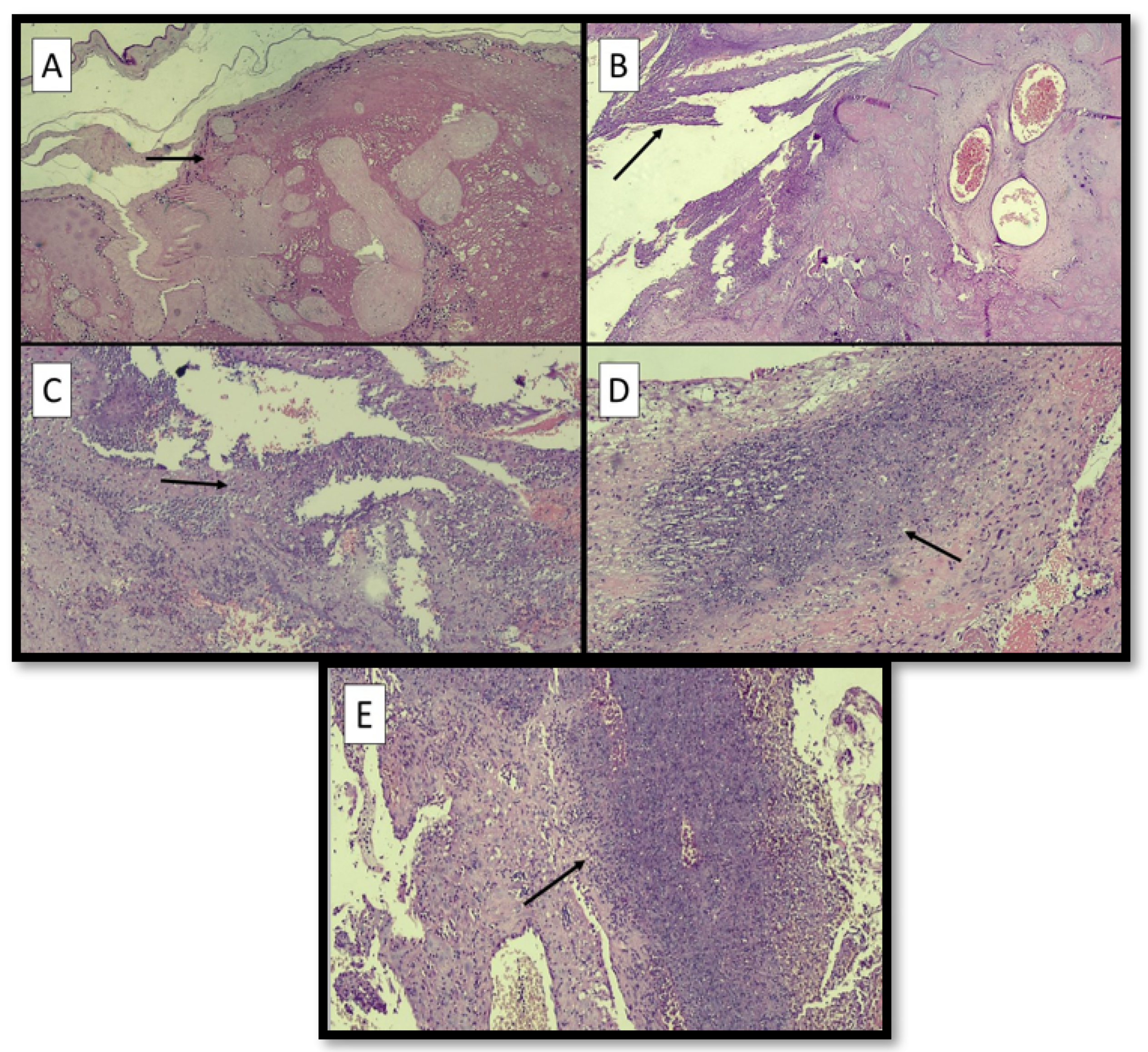 Ijerph 19 03891 g002