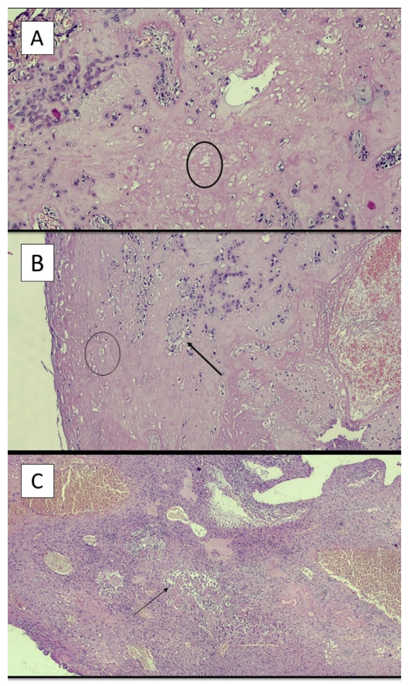 Ijerph 19 03891 g003