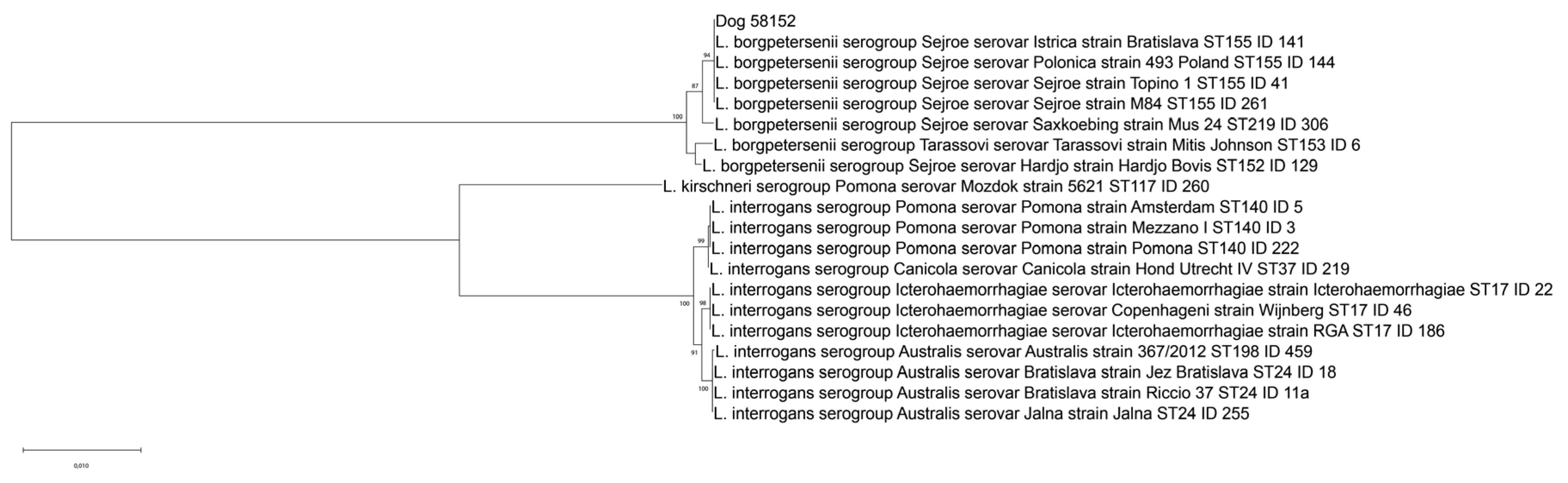 Ijerph 19 03906 g001