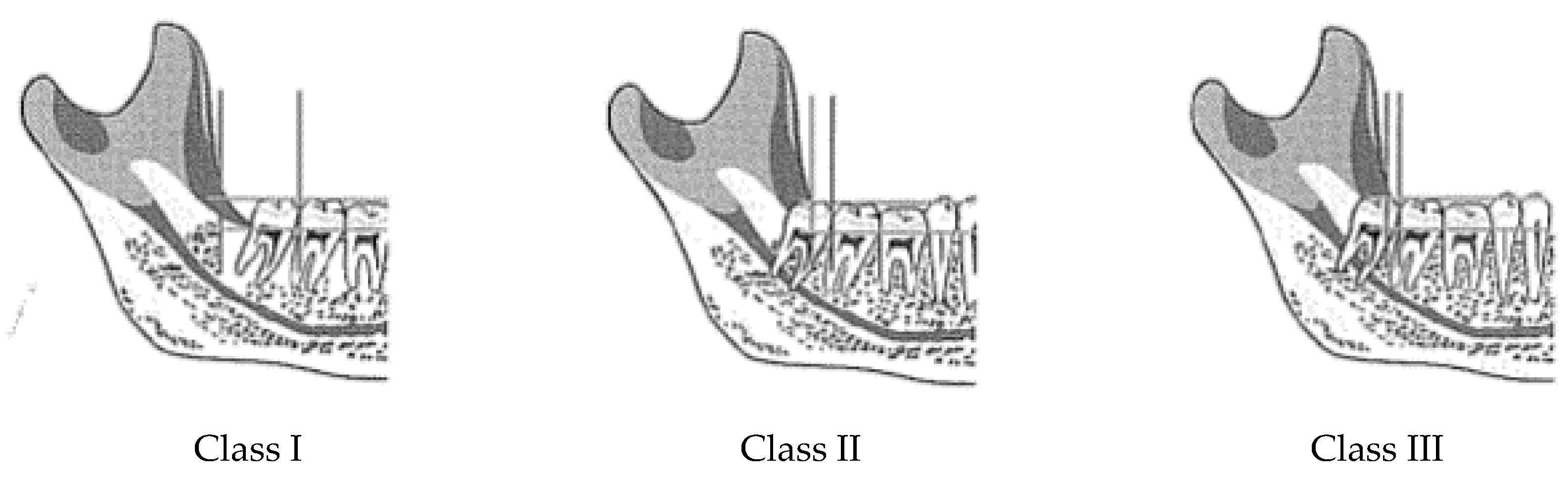 Ijerph 19 04028 g001