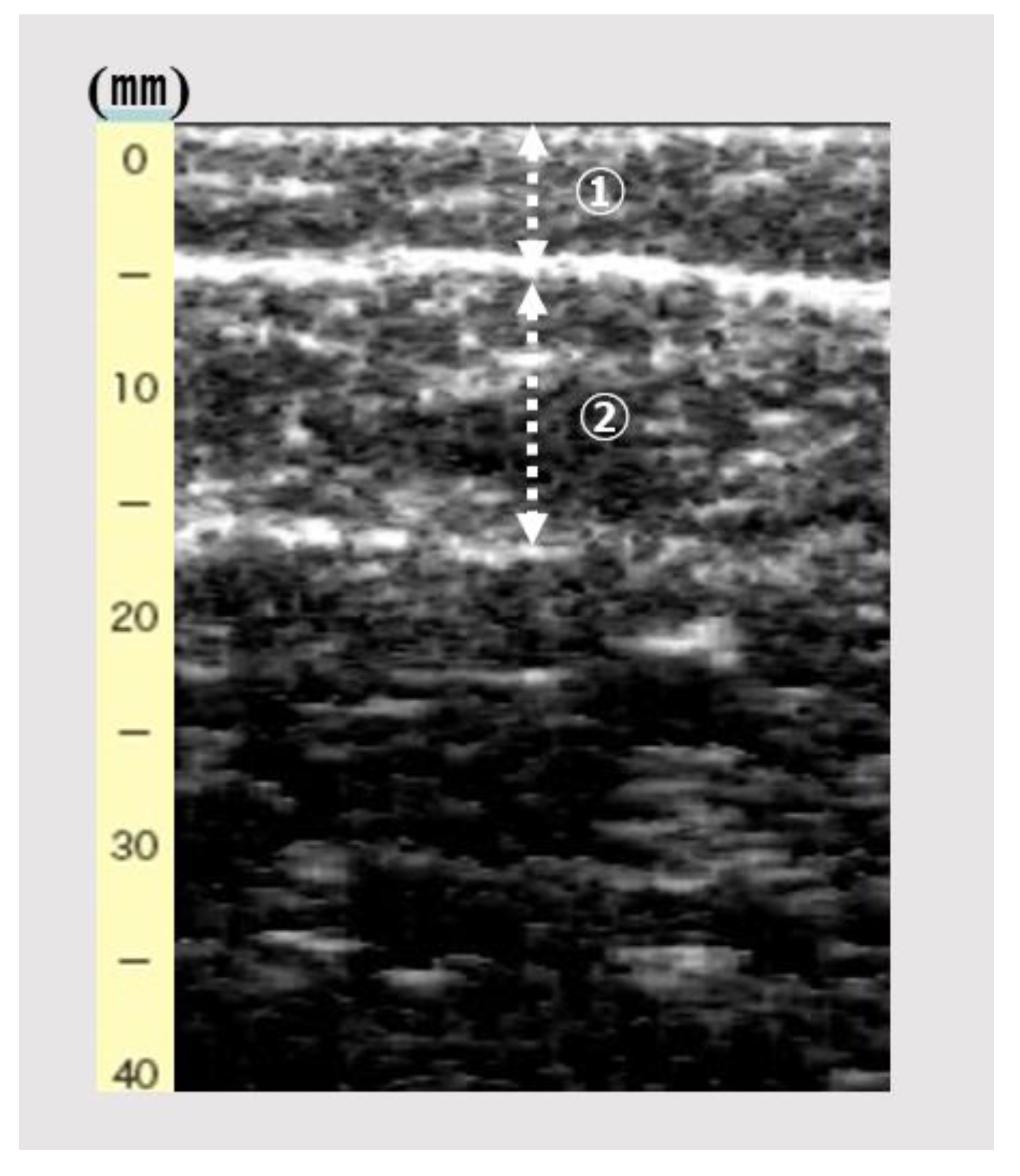 Ijerph 19 04042 g001