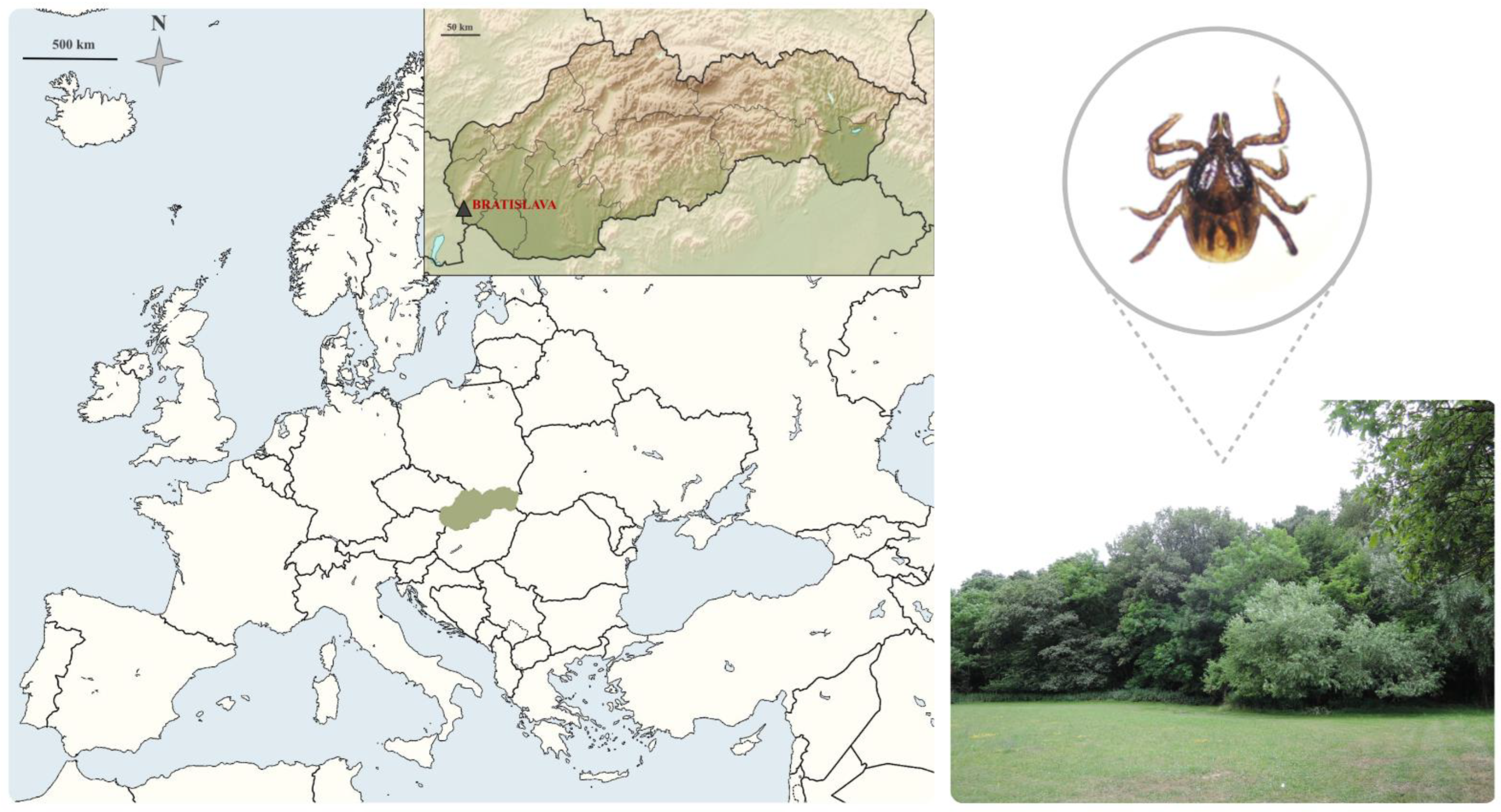 Ijerph 19 04321 g001