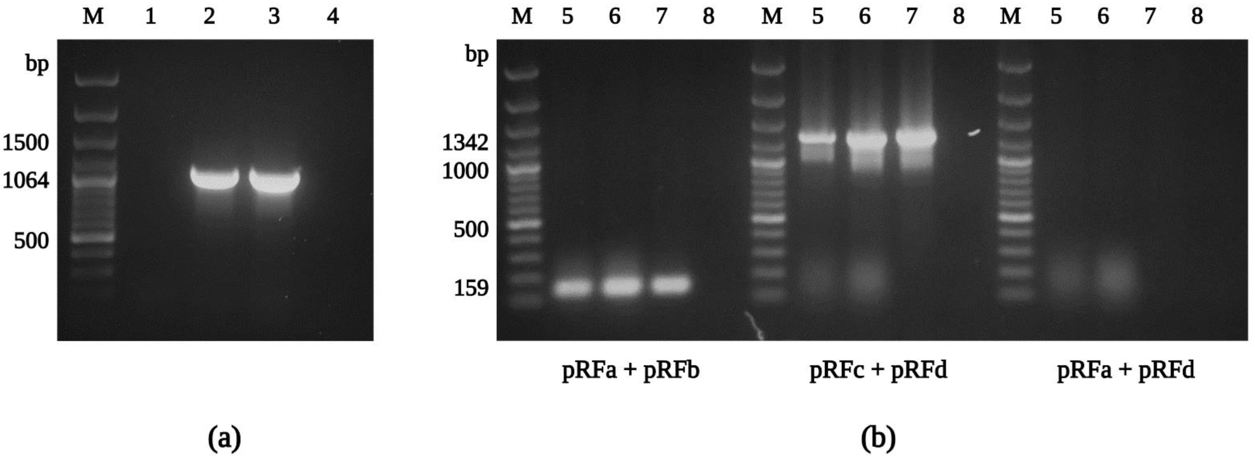 Ijerph 19 04321 g005