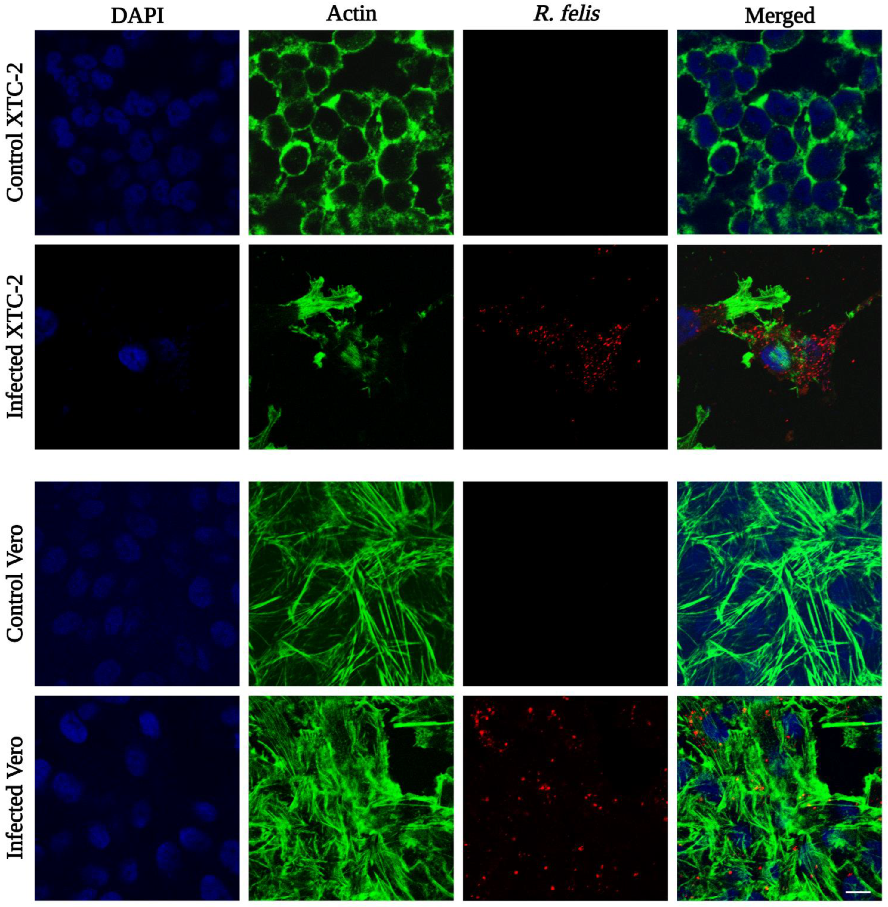 Ijerph 19 04321 g006