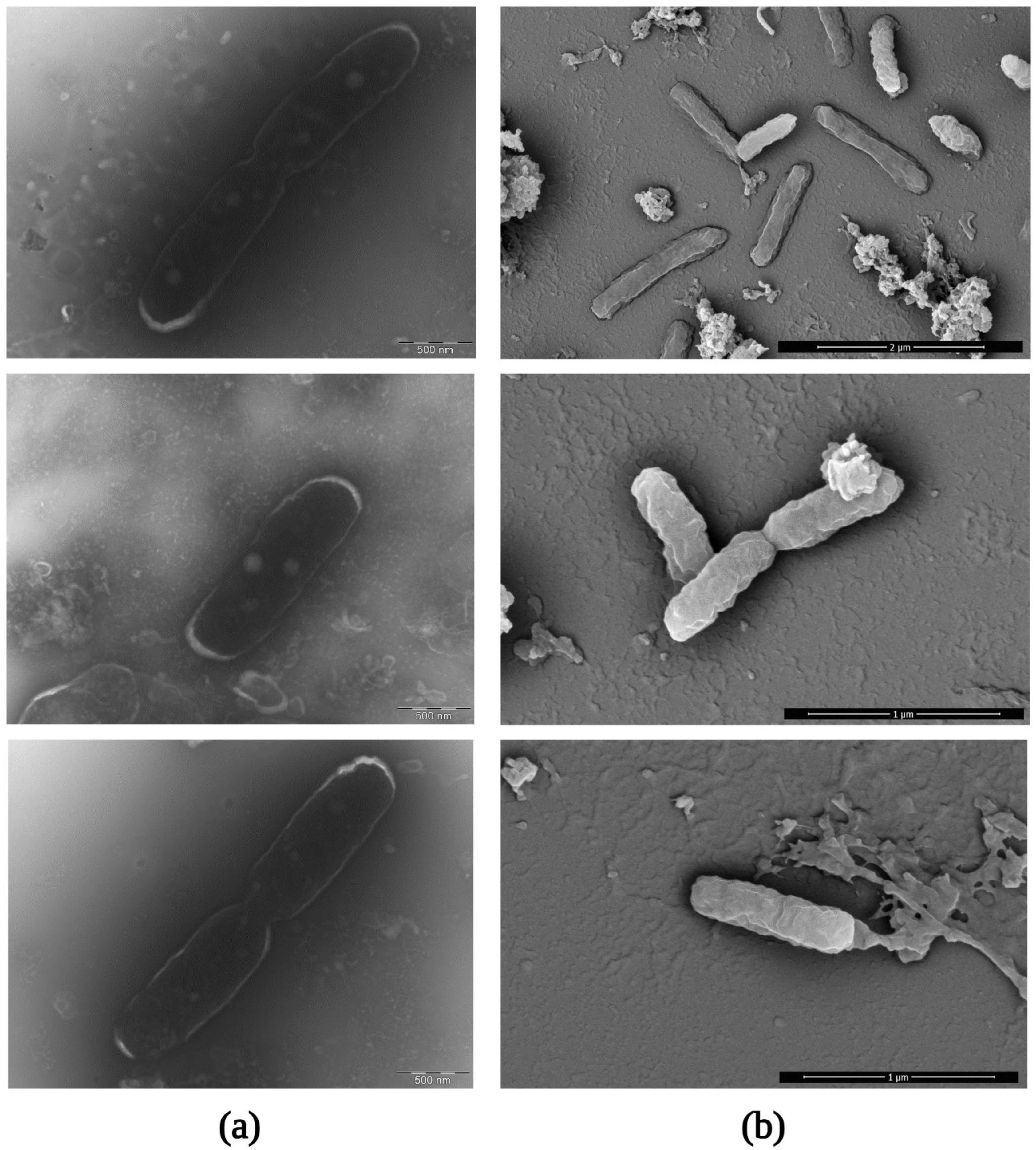 Ijerph 19 04321 g007