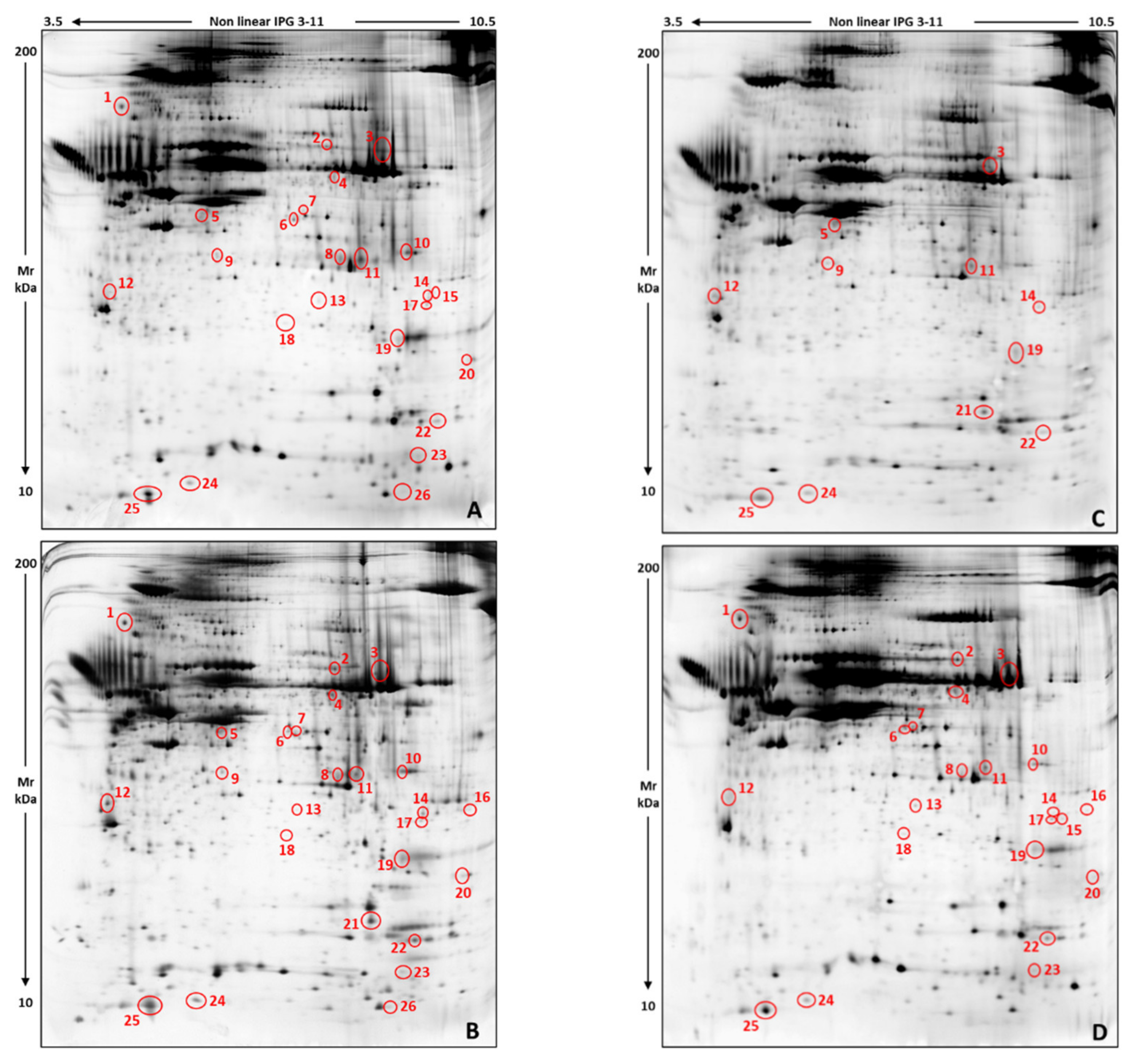 Ijerph 19 04369 g001 Ijerph 19 04369 g001