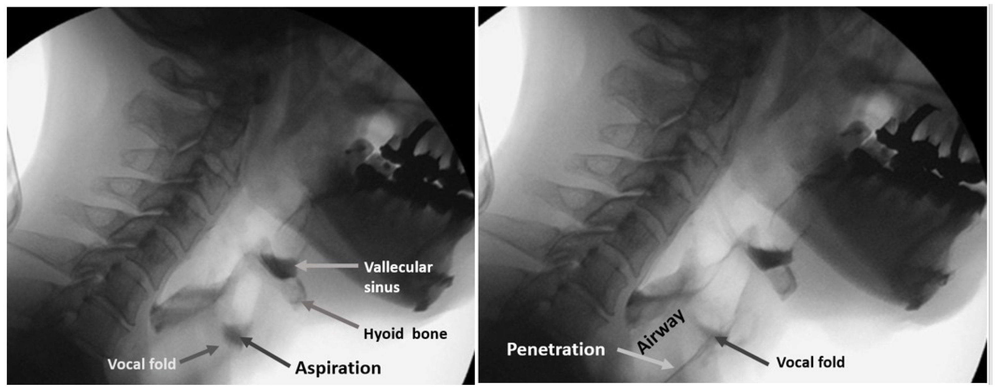 Ijerph 19 04529 g008