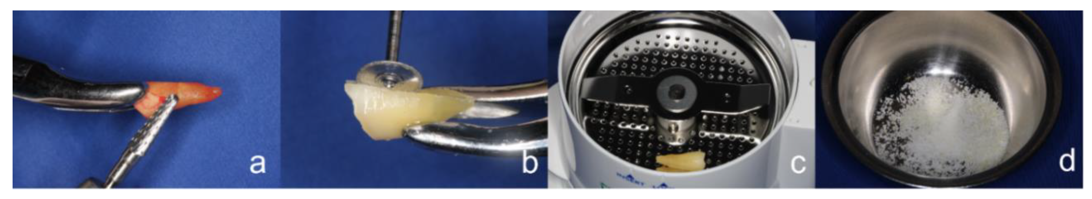 Ijerph 19 04560 g001