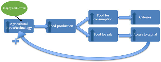 Ijerph 19 04651 g001 550