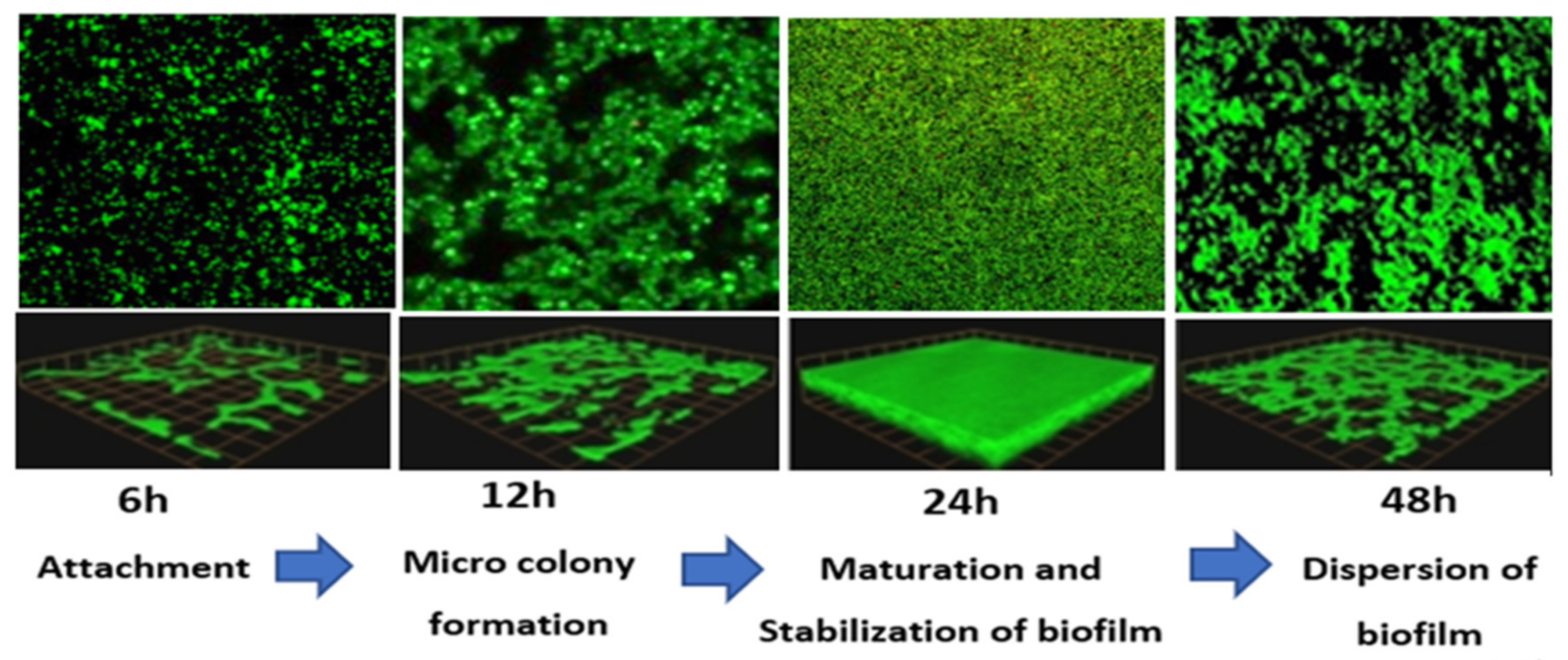 Ijerph 19 04788 g008
